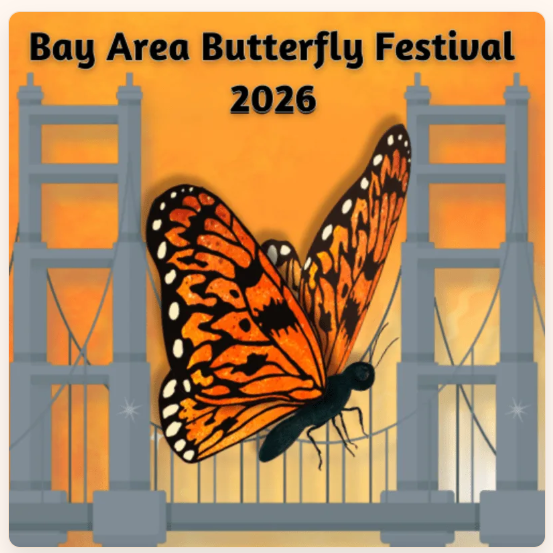 Bay Area Butterfly Festival