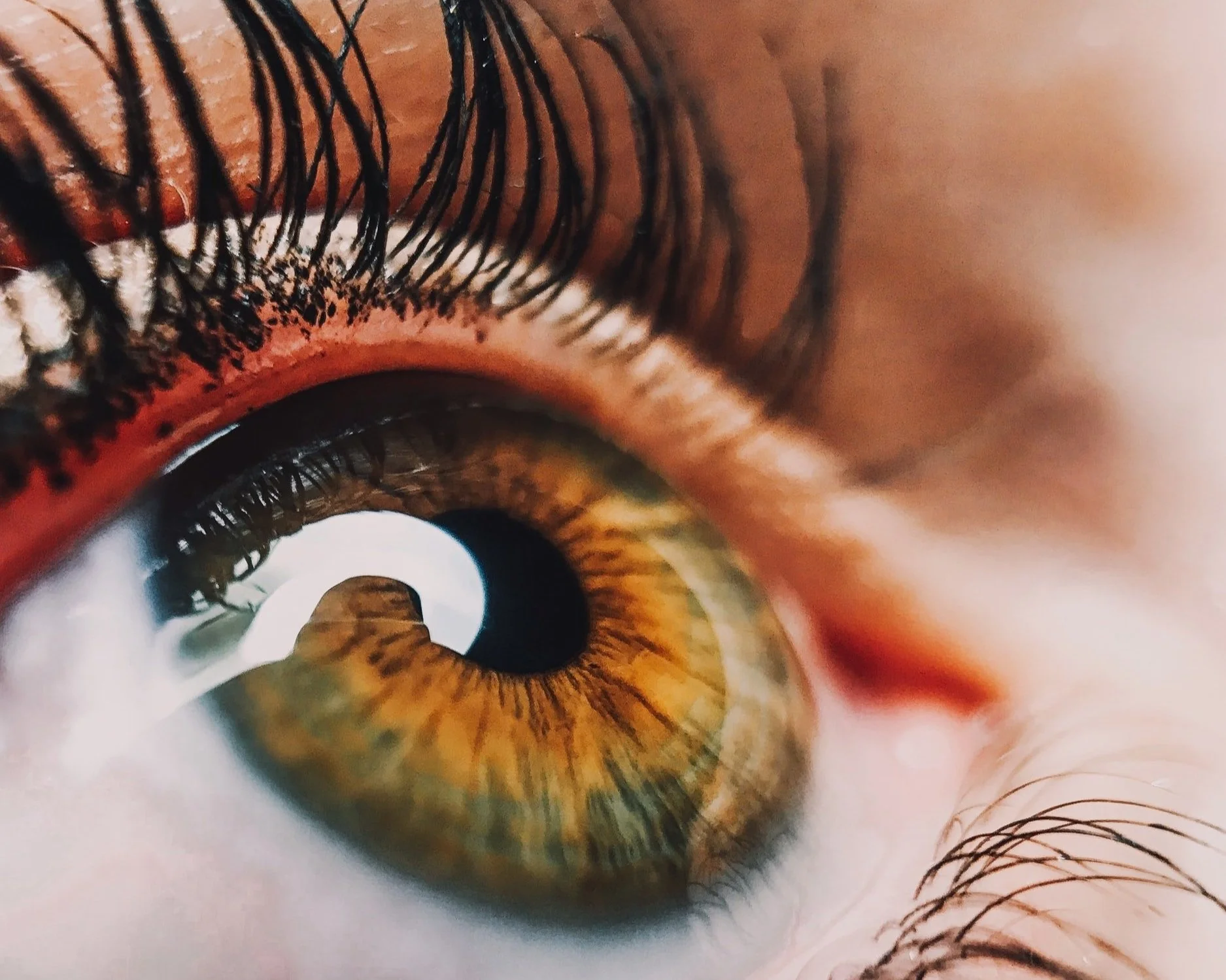 unsplash-image-iXspFCVXoaw.jpg