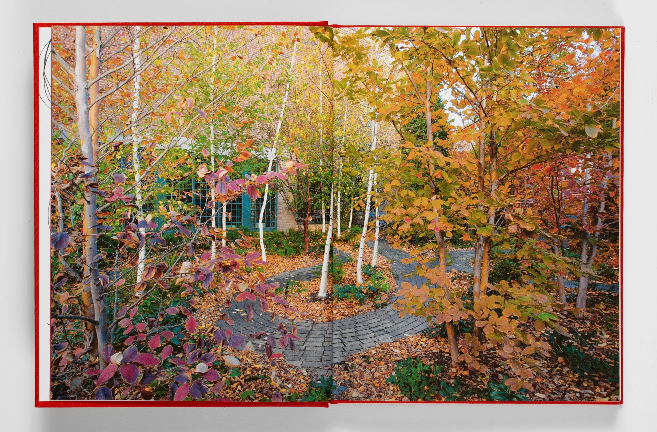 DesigningAGarden_0019.jpg