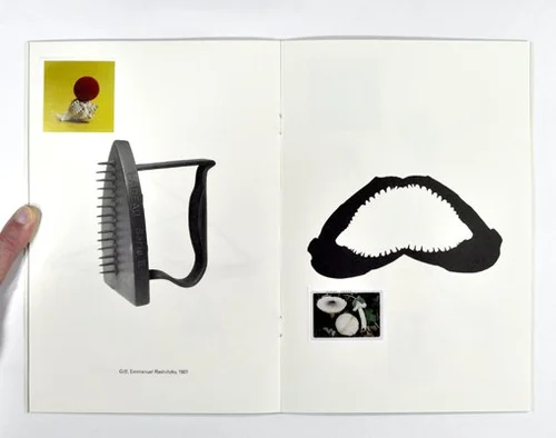 Jason Fulford's The Mushroom Collection — Lex Thompson