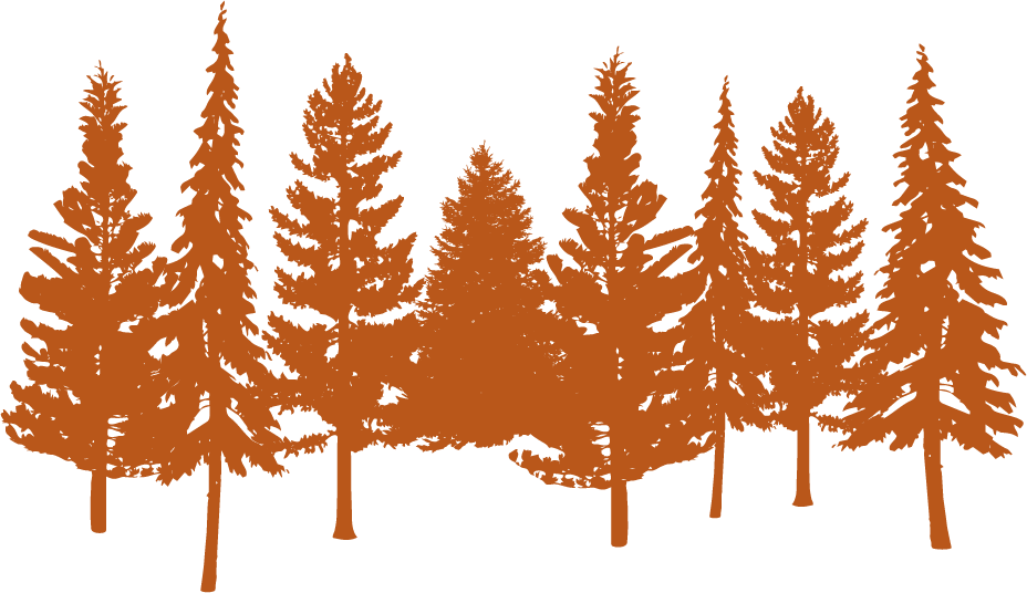 forest-on-franklin-element 04-rgb-orange@6x.png