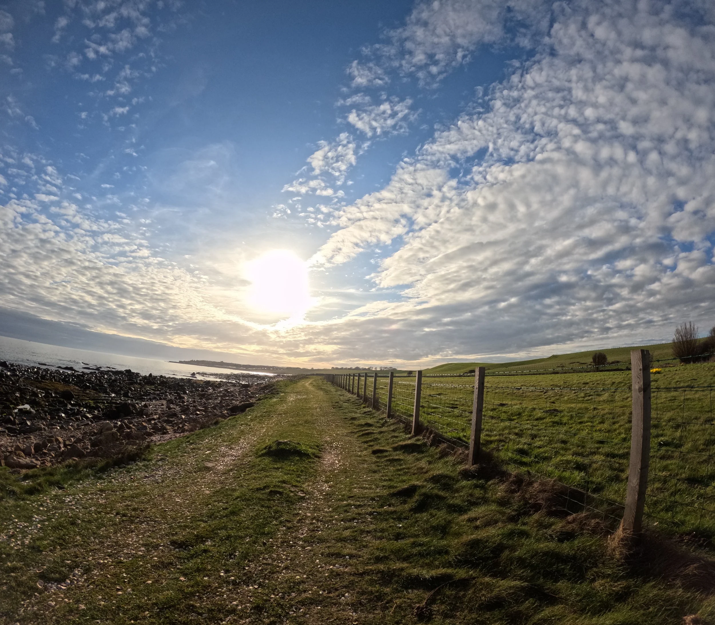 Nature - Spring equinox 2026 - Sun Wisdom: 100x More Lives Saved Than Lost