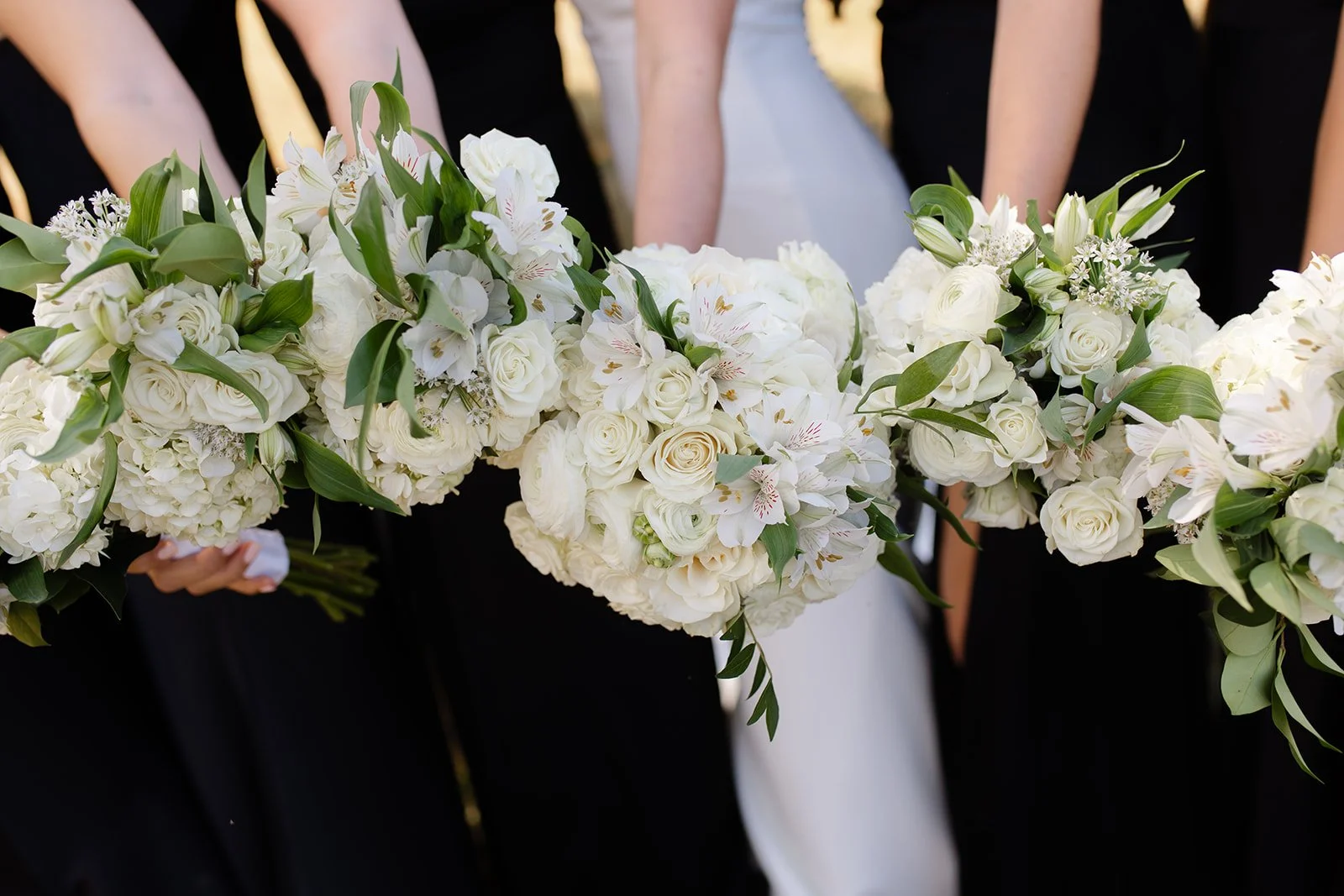 Why Investing in Professional Photography Matters