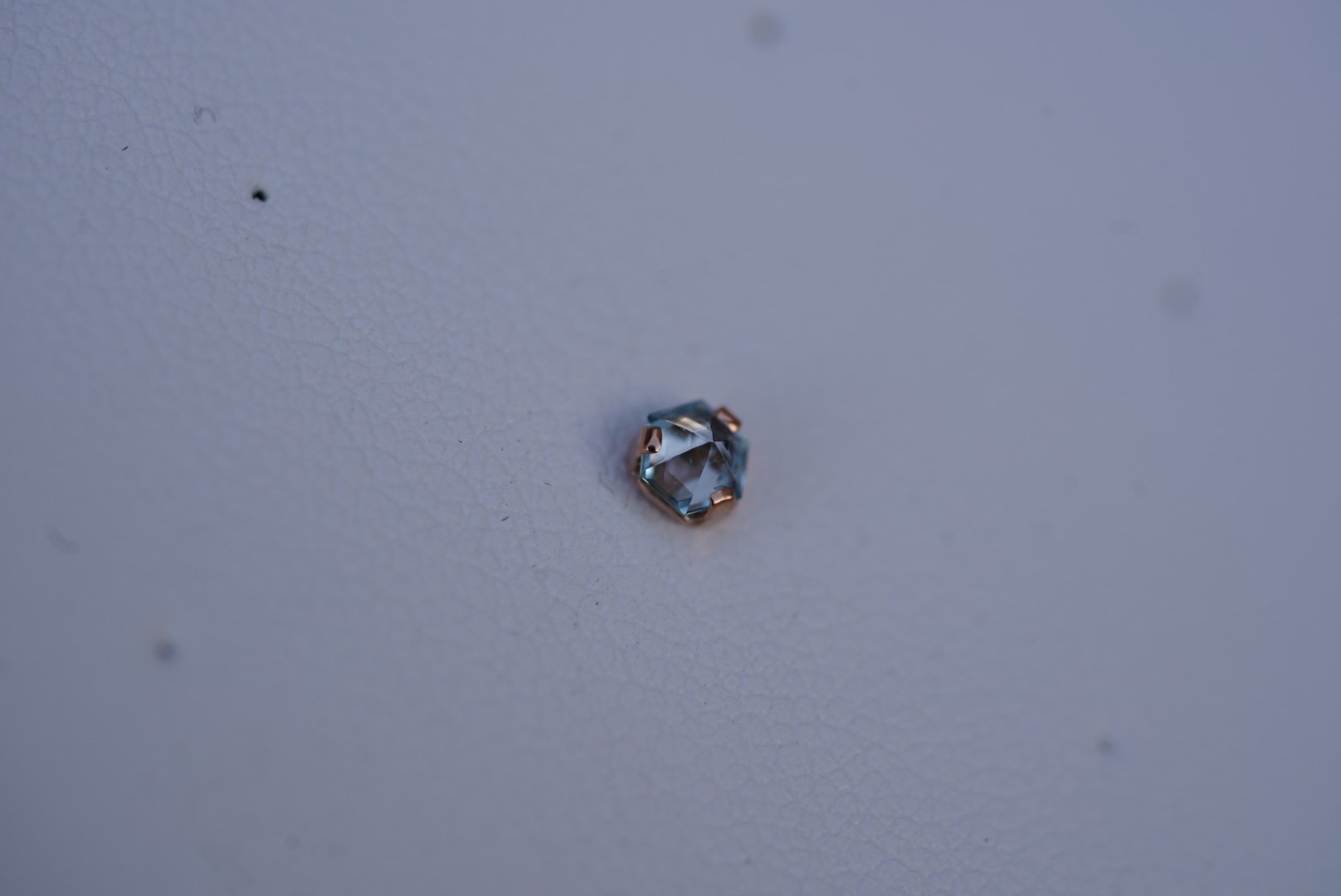 DSC00312.jpeg