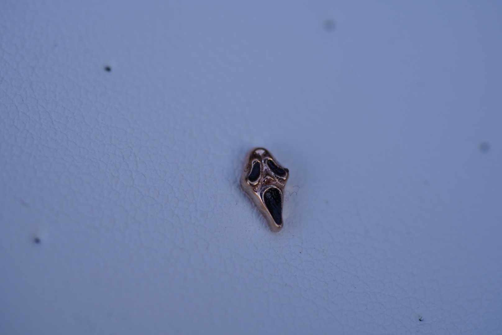 DSC00328.jpeg