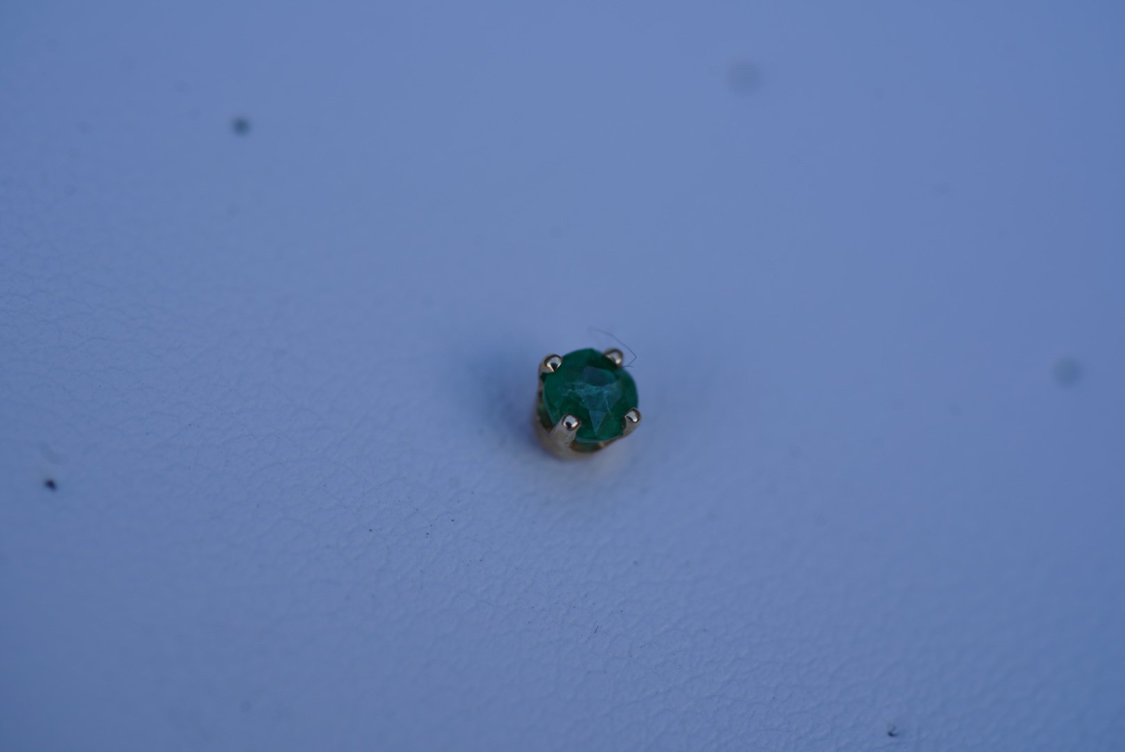 DSC00325.jpeg