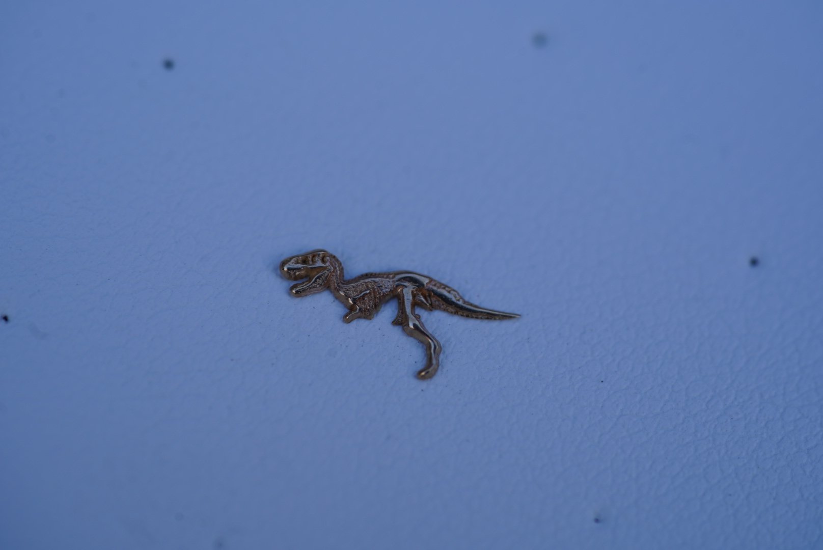 DSC00336.jpeg