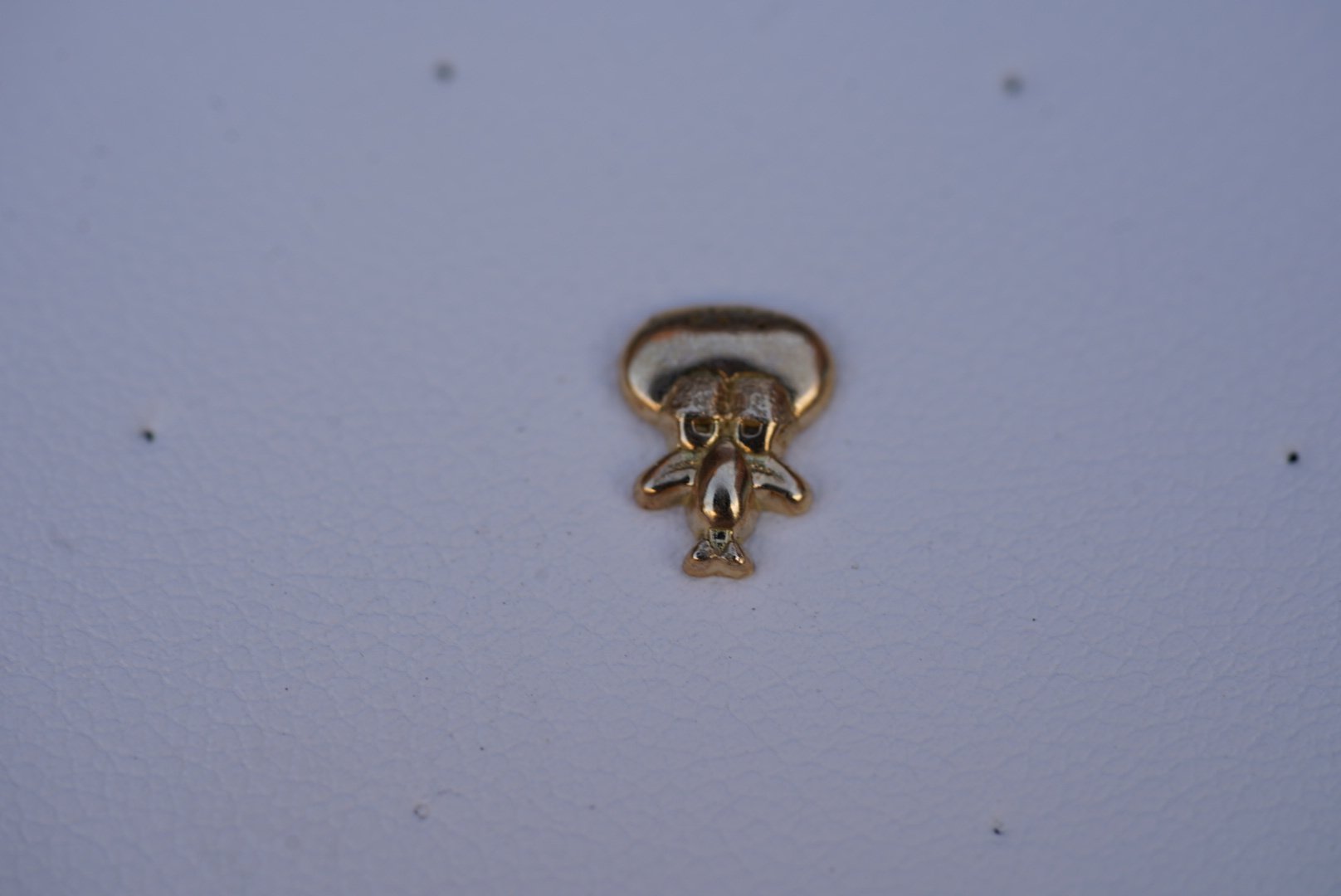 DSC00295.jpeg