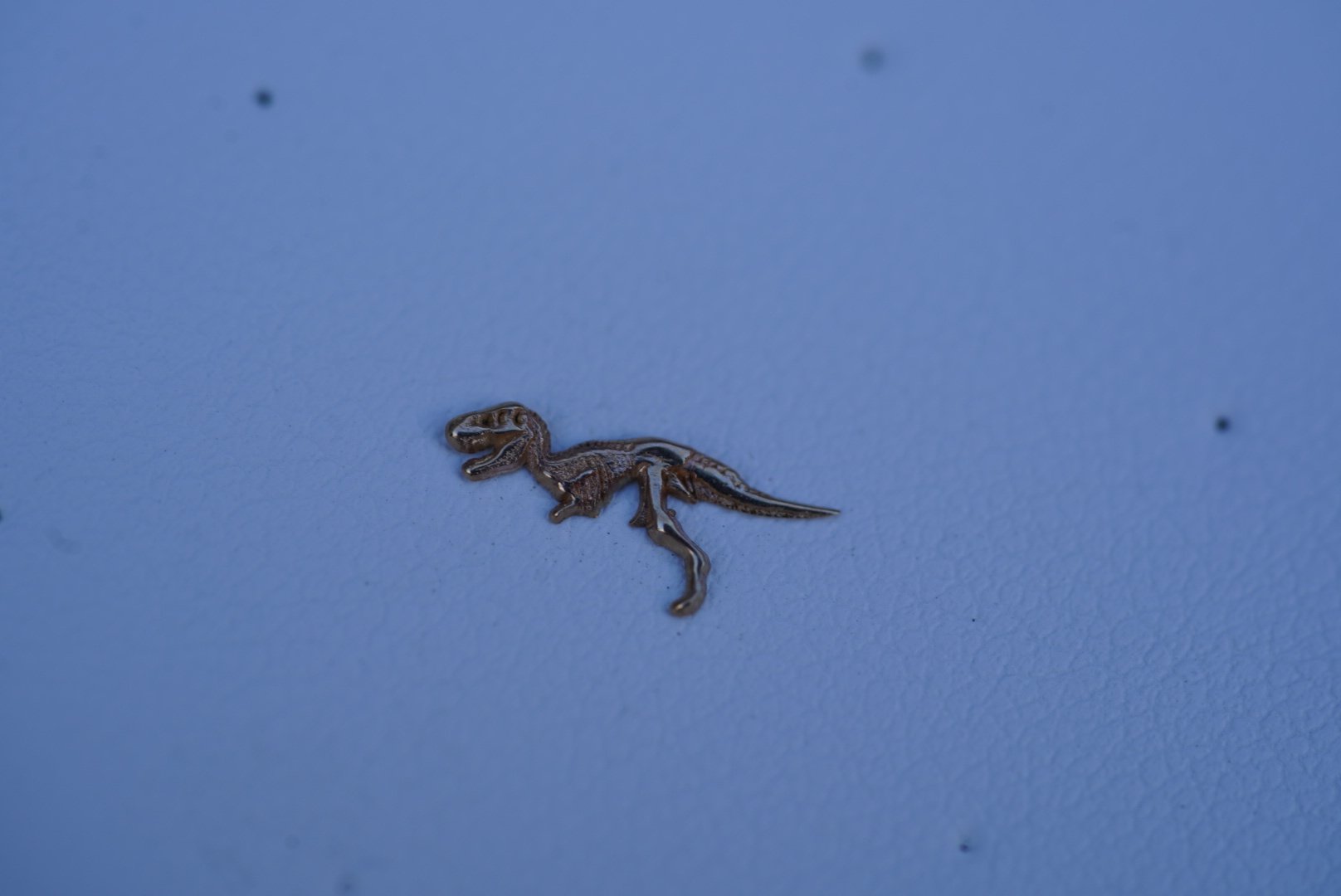 DSC00335.jpeg