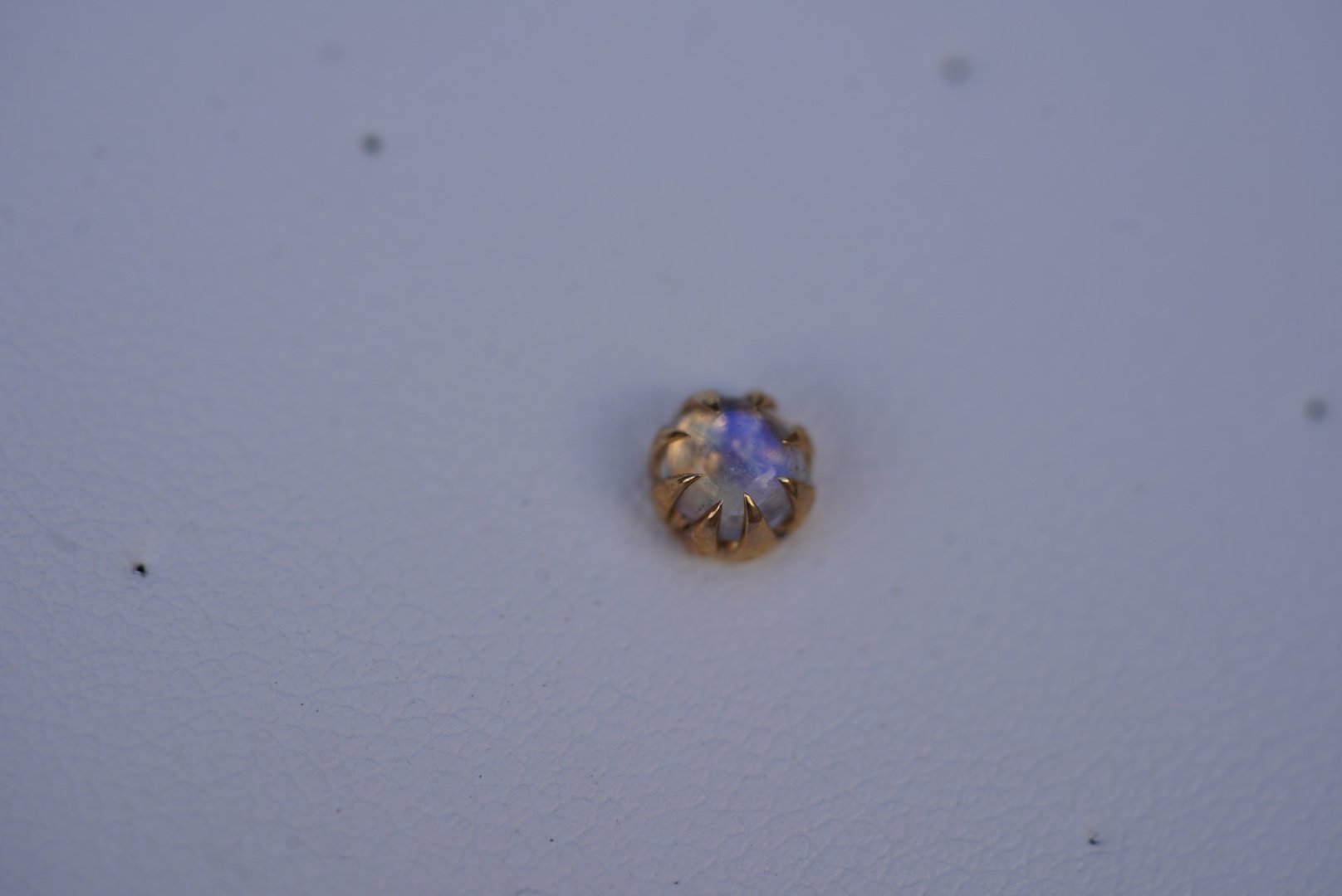 DSC00303.jpeg
