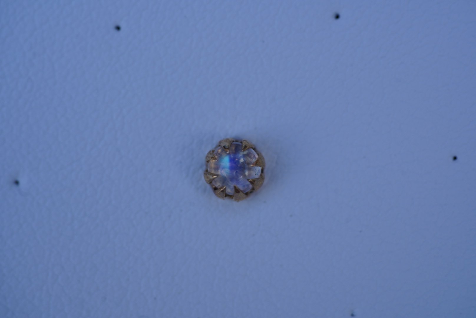 DSC00307.jpeg