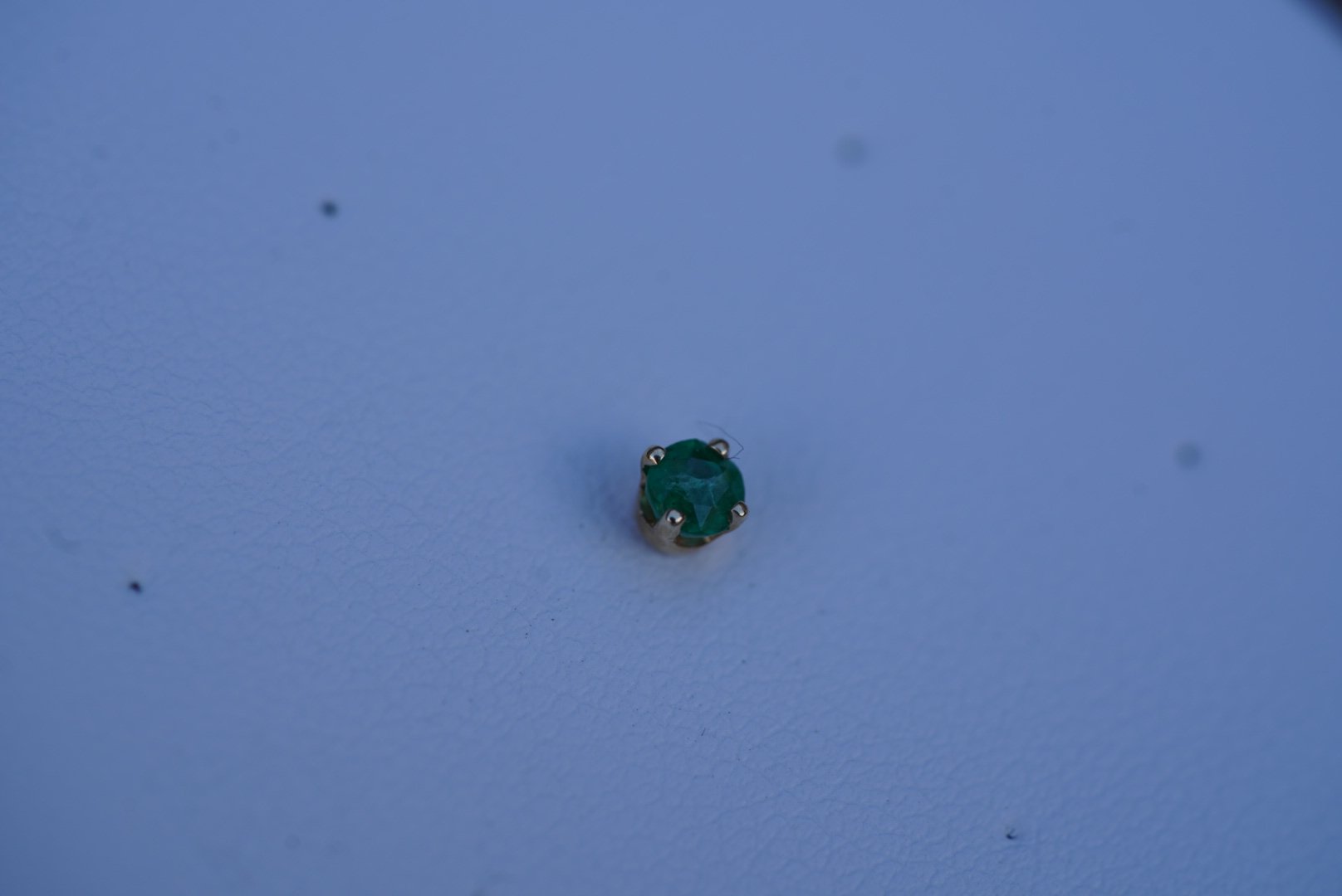 DSC00324.jpeg
