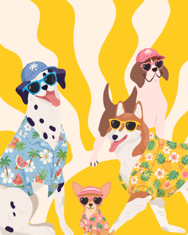 BADDIES Summer Social