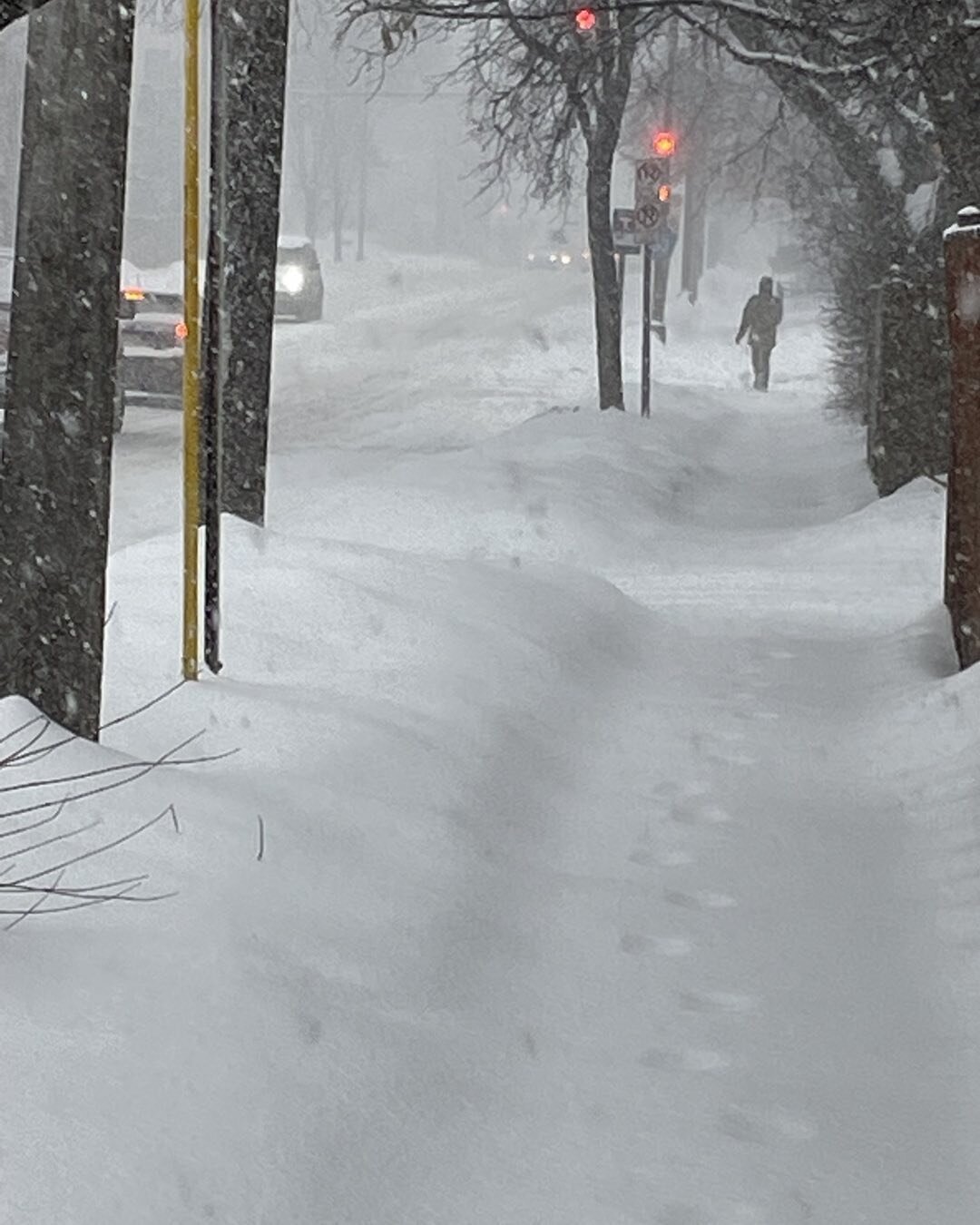 Una calle de San Pablo bajo una nevada/ a Saint Paul street under falling snow.