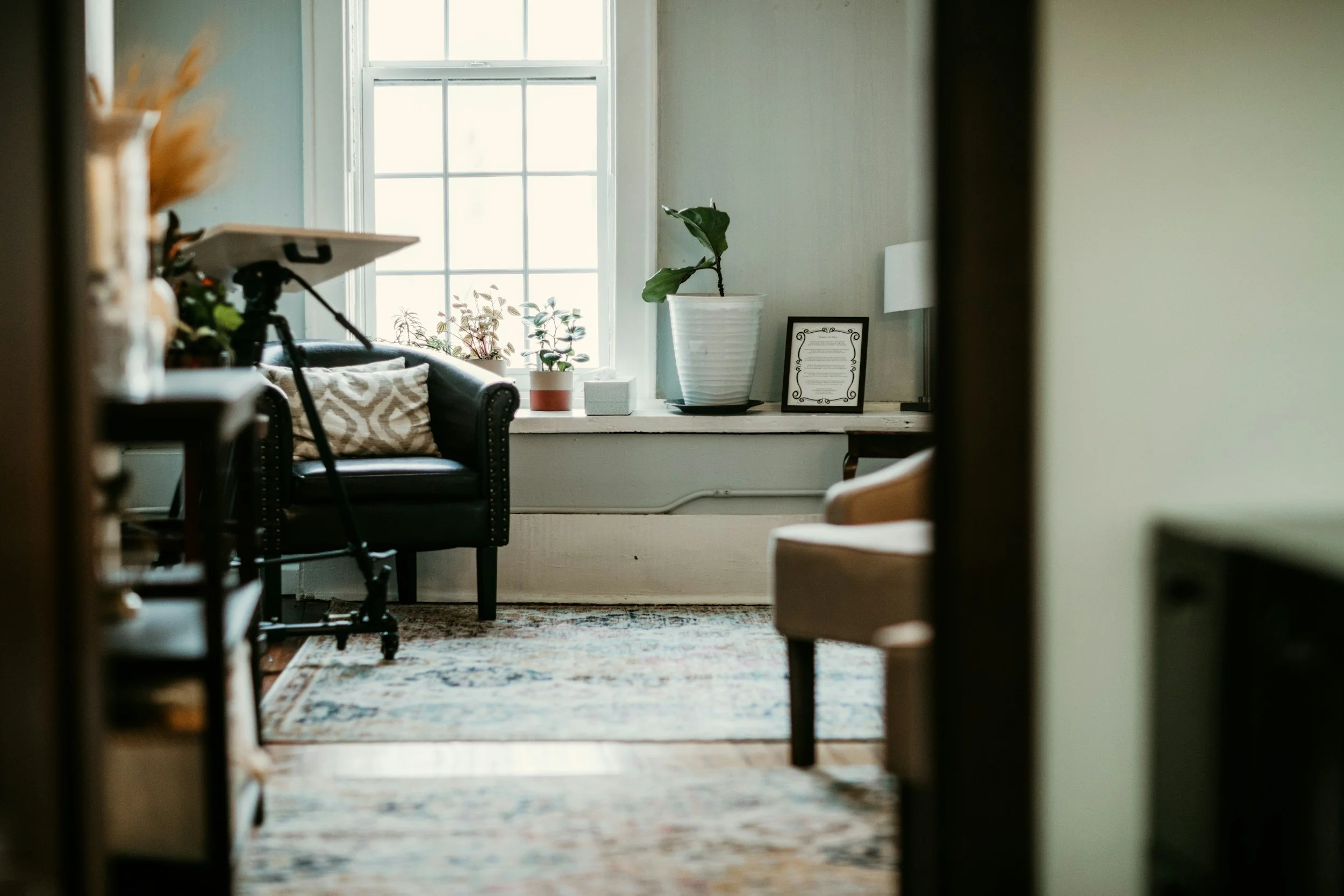 A cozy living room with a large window, a black armchair with a patterned pillow, potted plants on the windowsill, and a framed document or artwork on the wall, viewed through a doorway.
