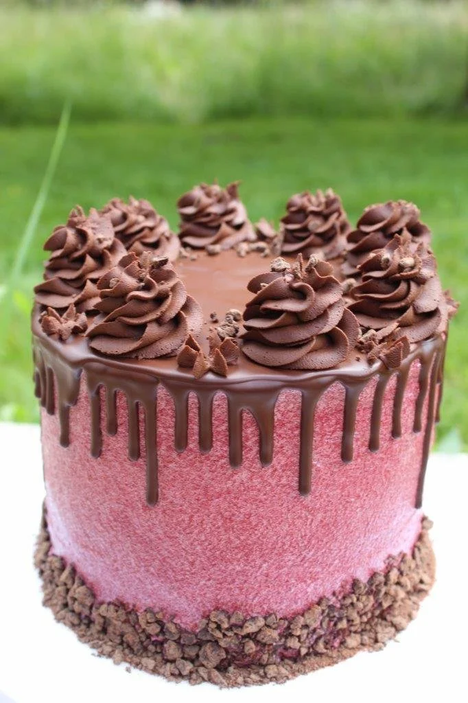 Pink cake with chocolate drizzle, topped with chocolate frosting swirls and chocolate shavings, and a chocolate crumb border.