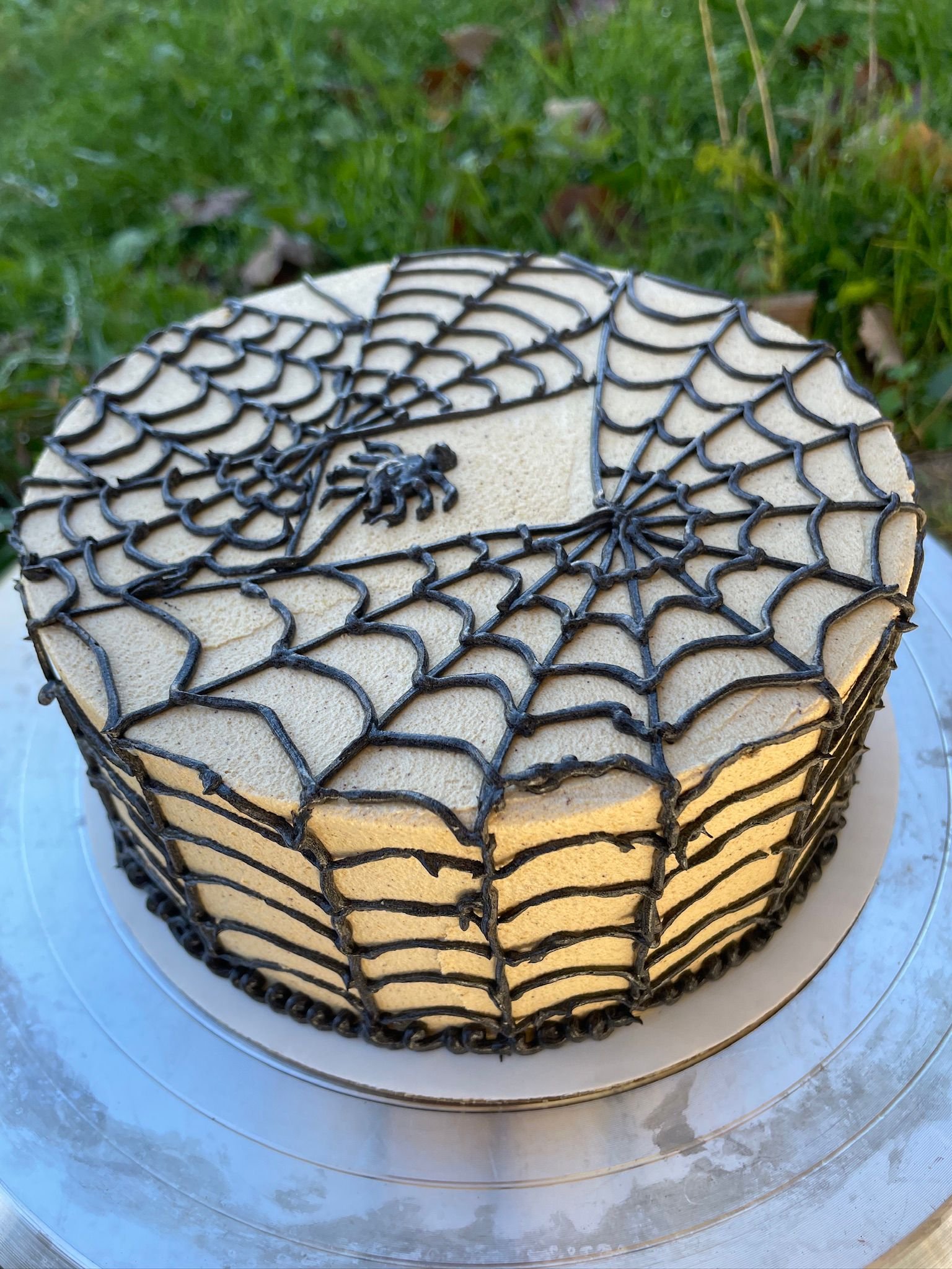 Cake spider .jpg
