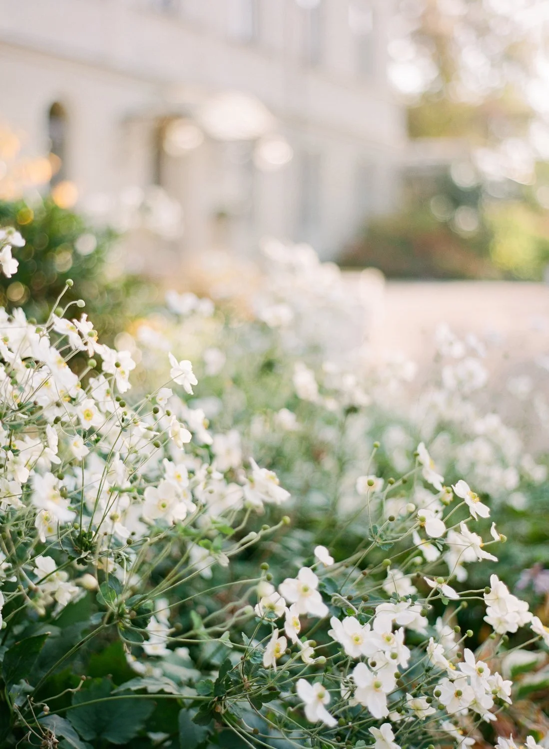 prague+wedding+photographer+chateau+mcely+wedding+editorial+nikol+bodnarova+film+wedding+photographer02.jpeg