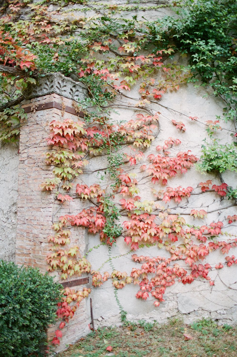 positano+wedding+photographer+amalfi+coast+film+wedding+photographer+(4).jpeg