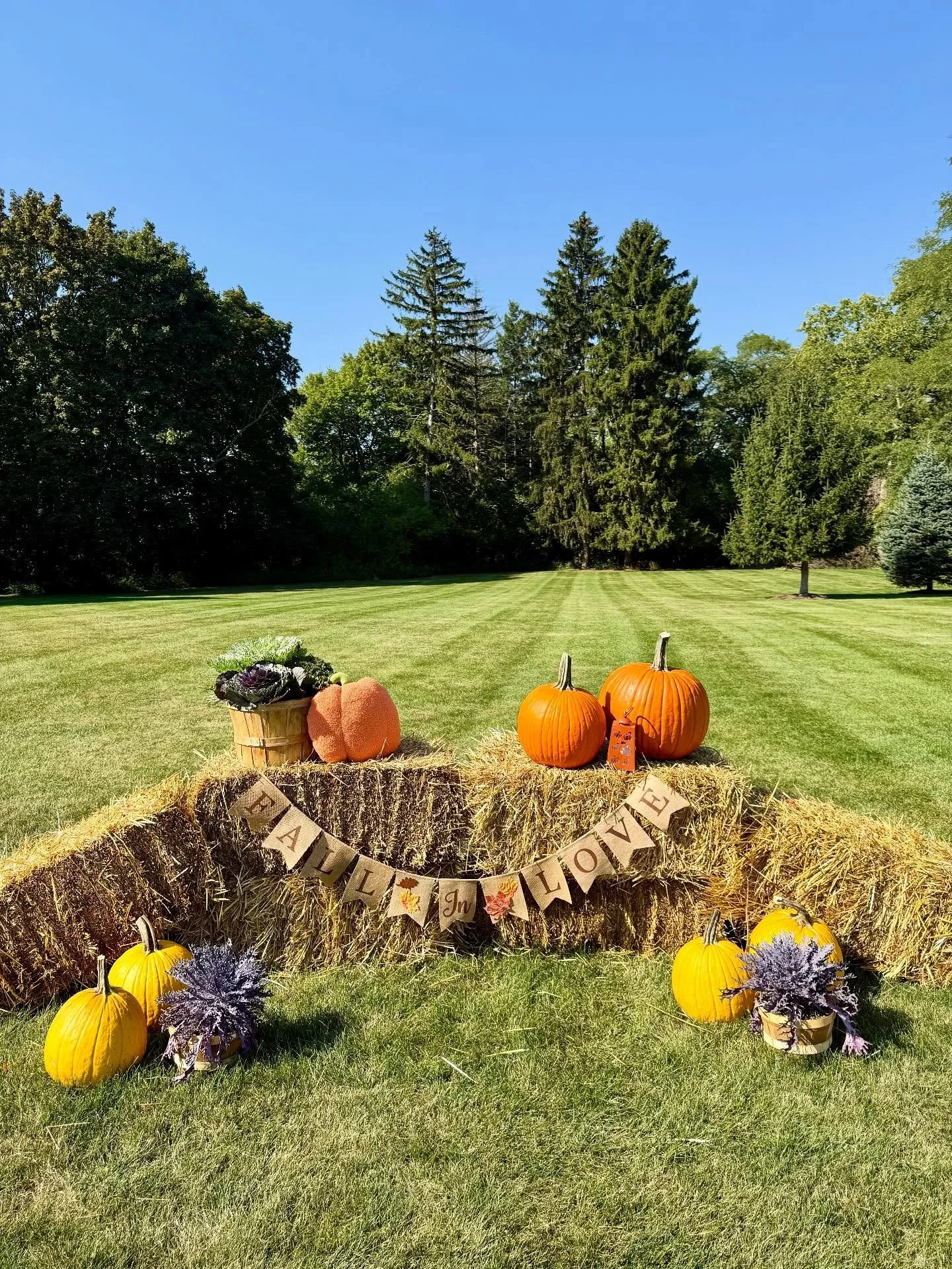 Michelle &amp; Tony | 10.3.25

🎶: @music_that_moves_ 
📸: @breeniesphotography