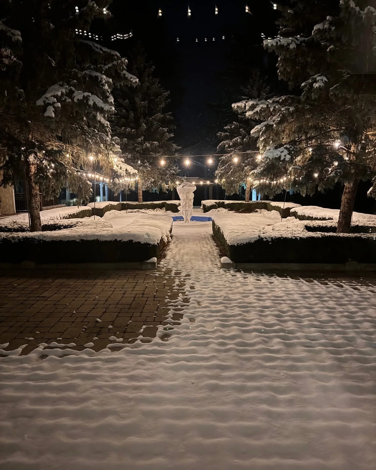 IMG_3961.jpeg