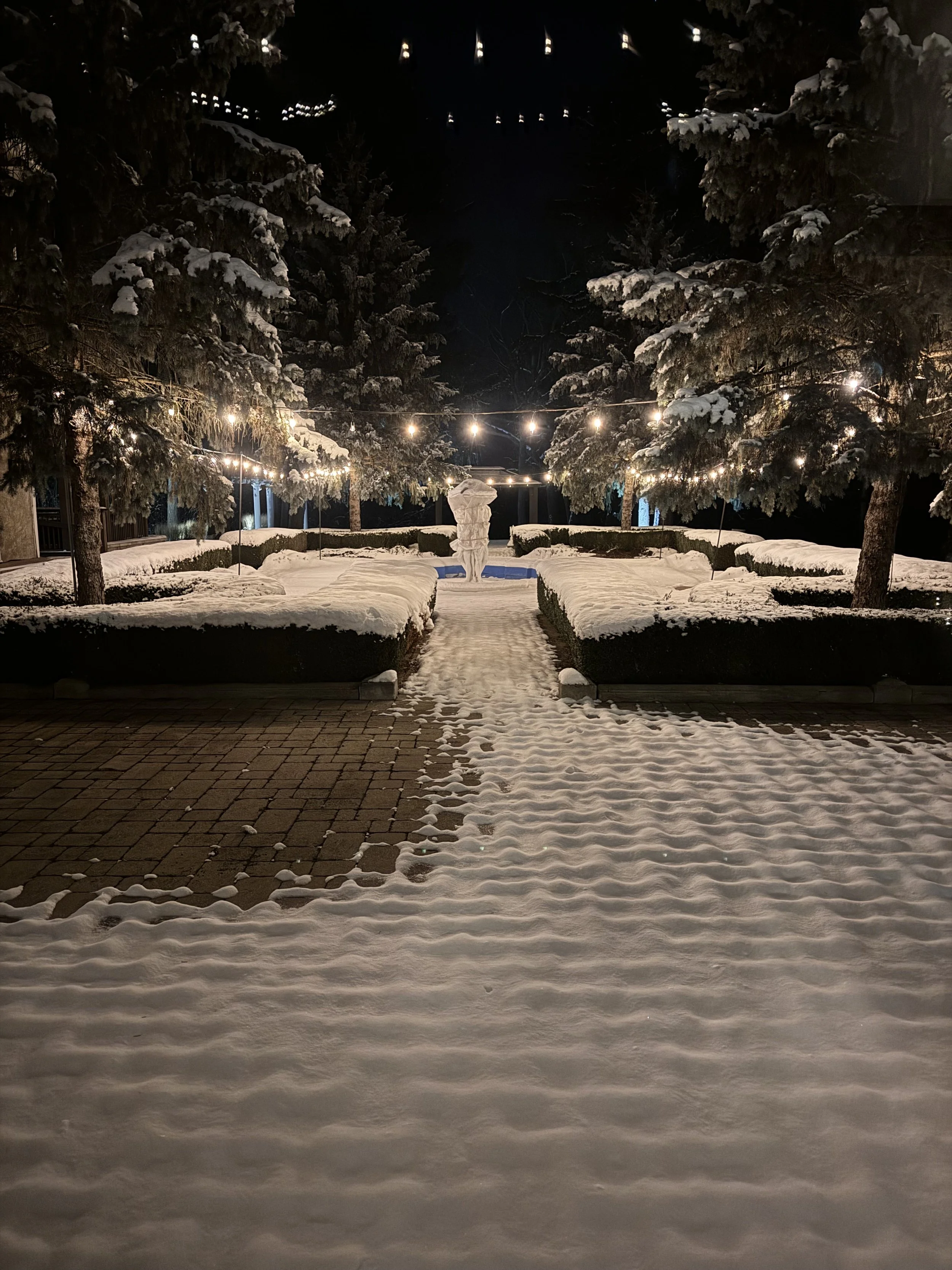 IMG_8374.jpeg