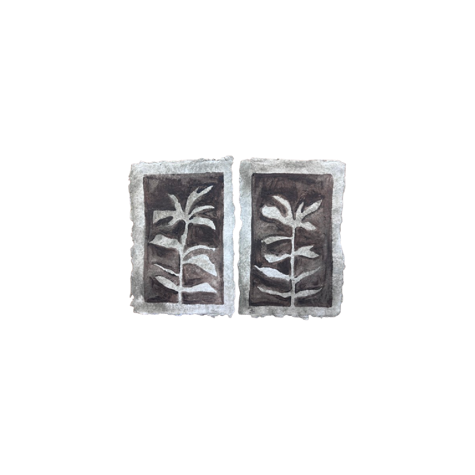 Botanical Study Set