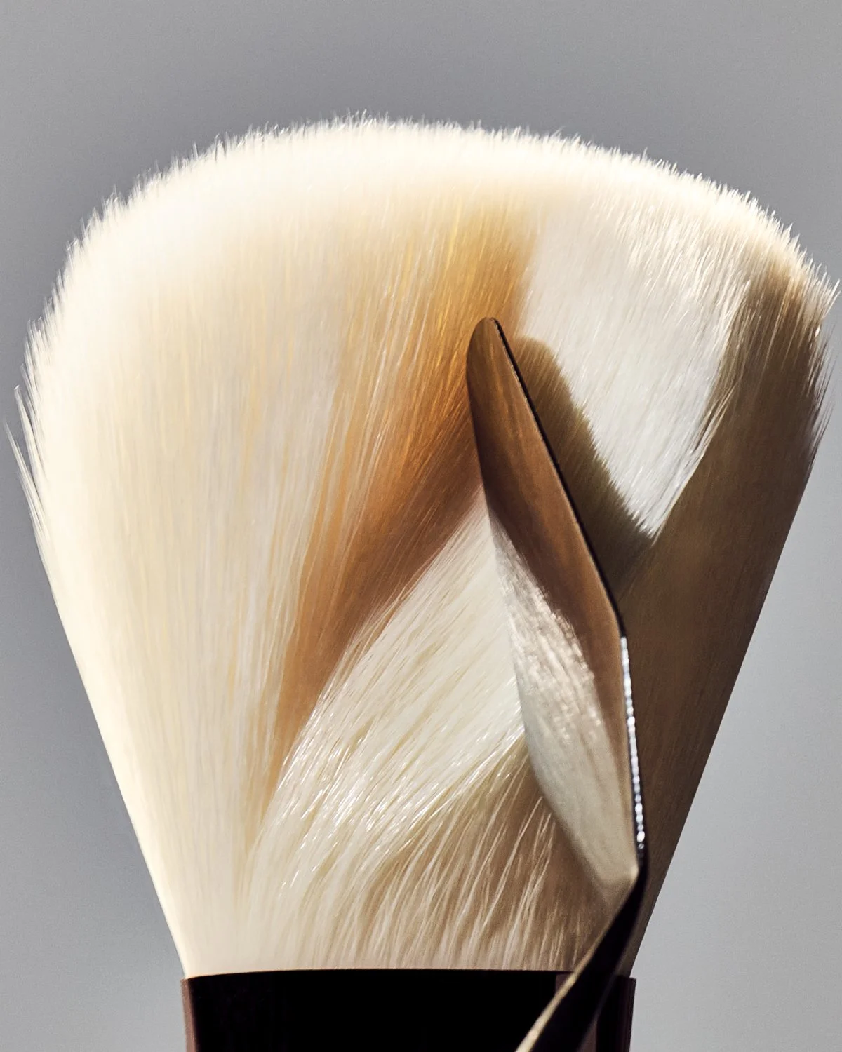Close-up still life of a soft makeup brush with tan and white bristles, by Adrianna Favero.