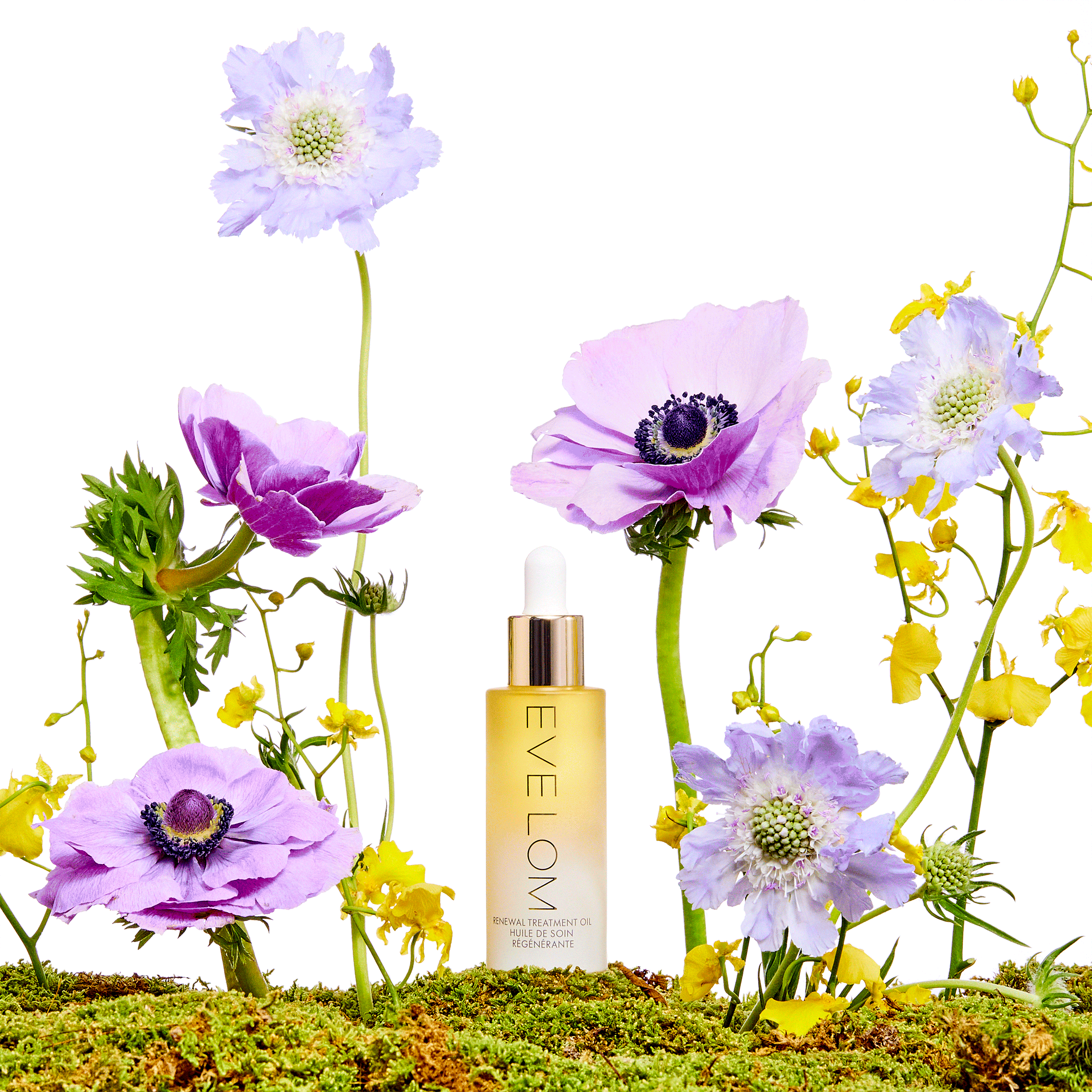 Eve Lom branding stop motion by Adrianna Favero, NYC-based beauty photographer and director. Featuring beautiful set design and elegant packaging in dynamic motion—perfect for digital campaigns, social media, and beauty brand storytelling.