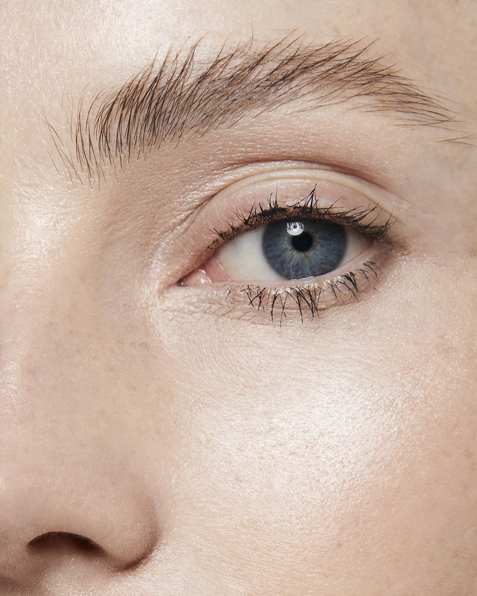 Close-up of a blue eye with natural eyelashes and eyebrow.