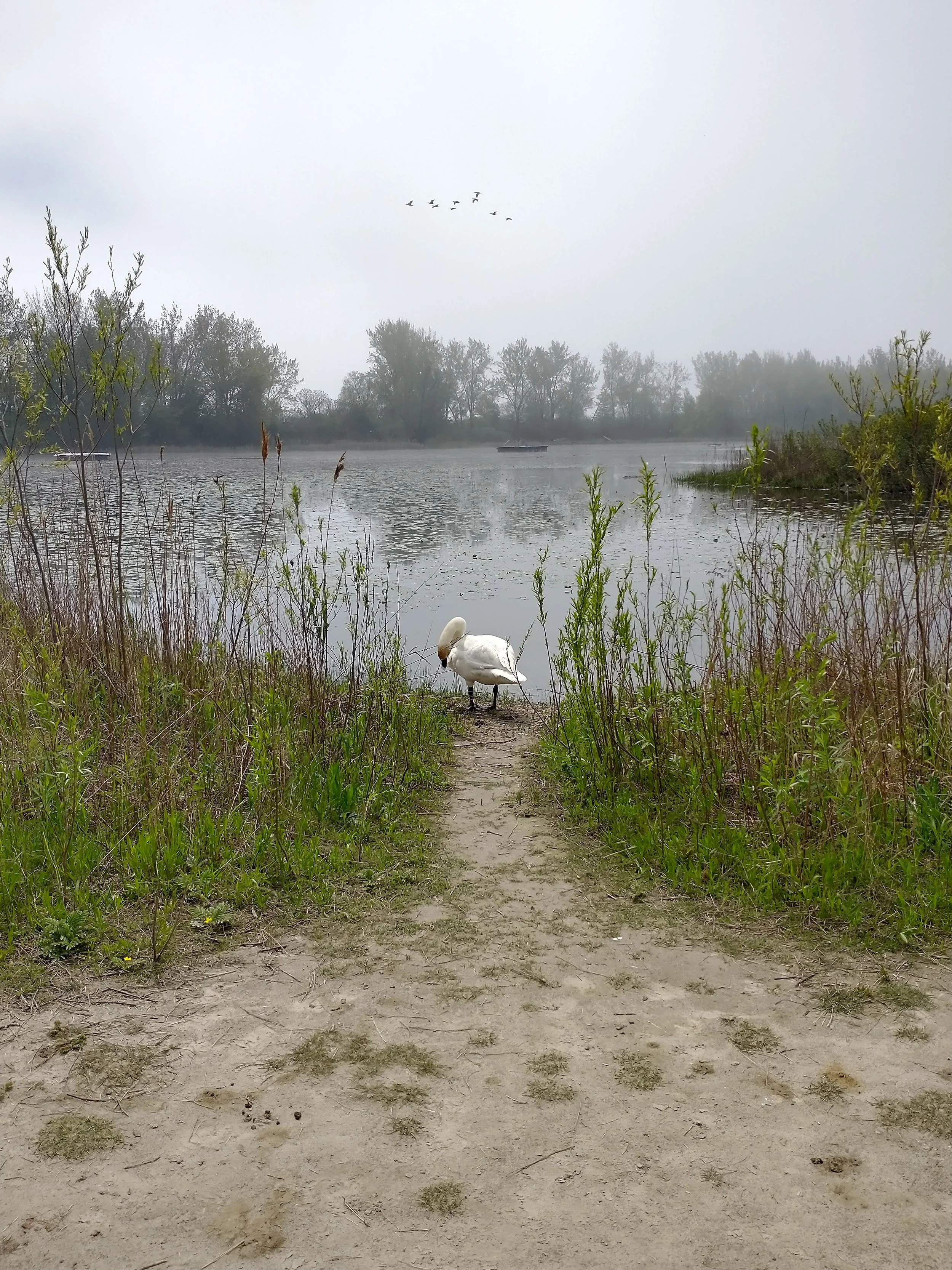 IMG_20240519_115604831_HDR.jpg