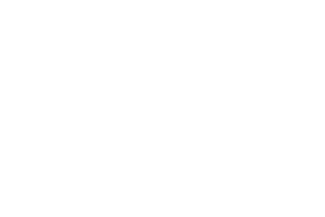 dj walkman