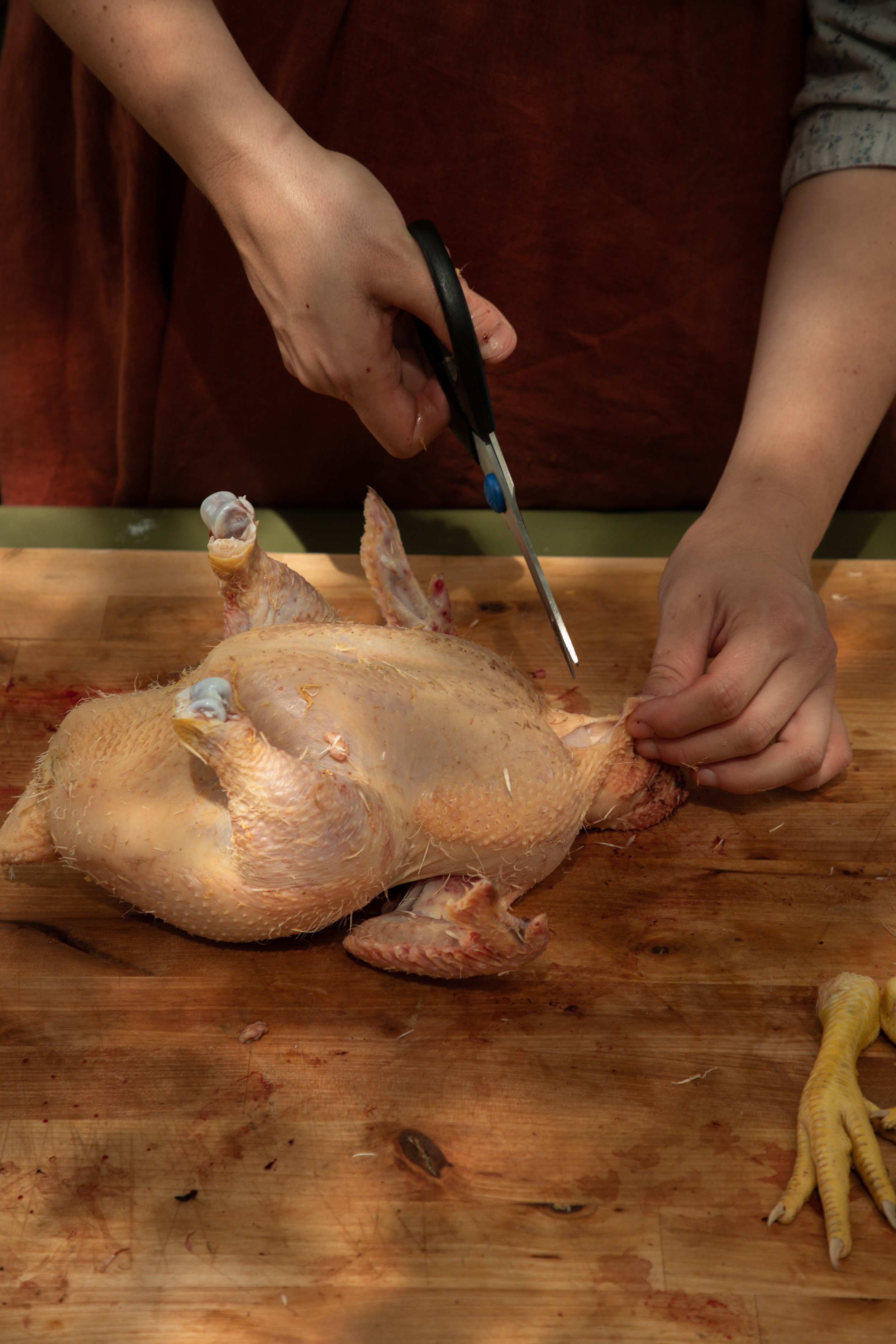 How To Butcher a Chicken With a Pair of Scissors