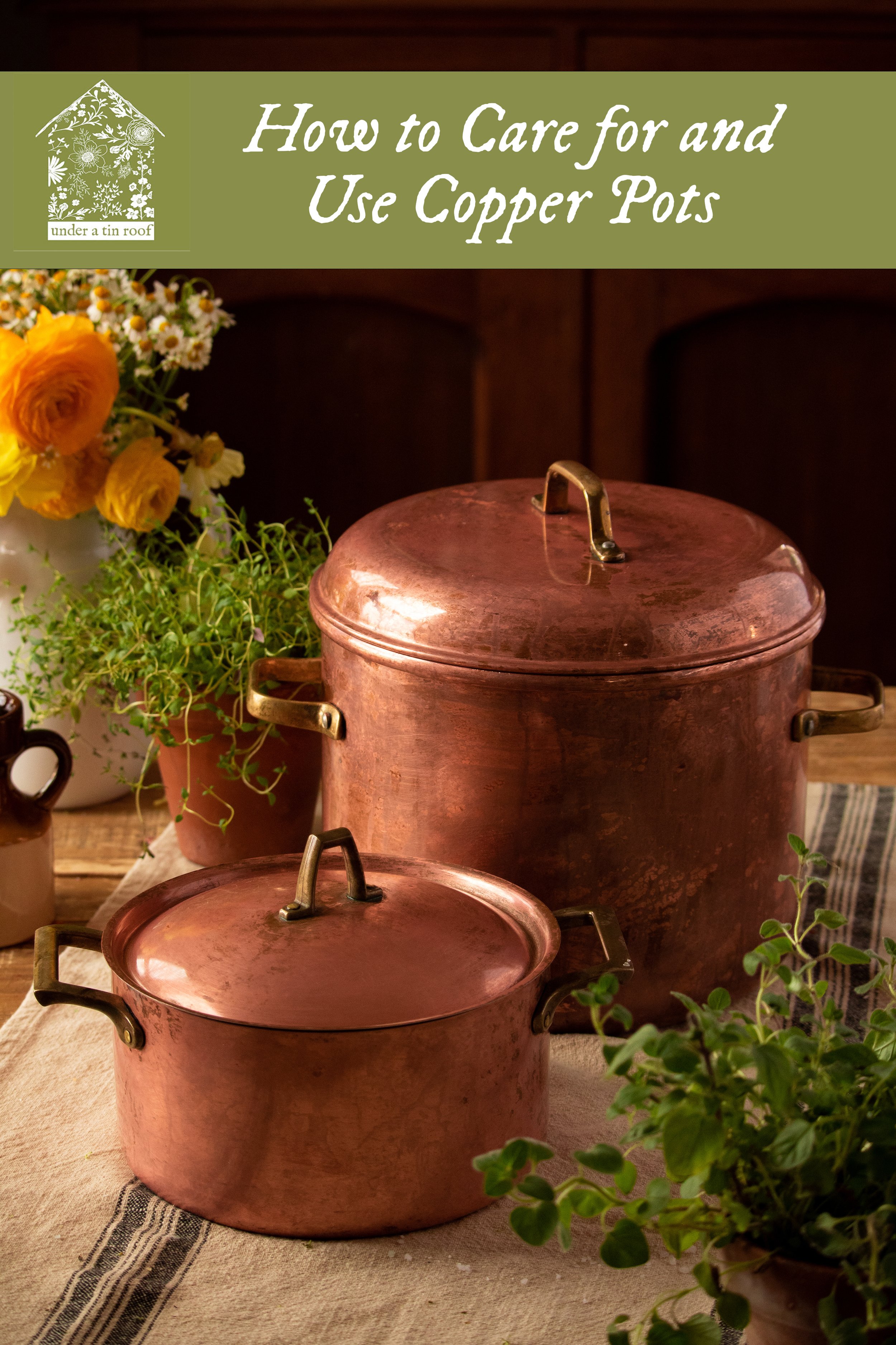 The Complete Guide to Using and Caring for Copper Pots