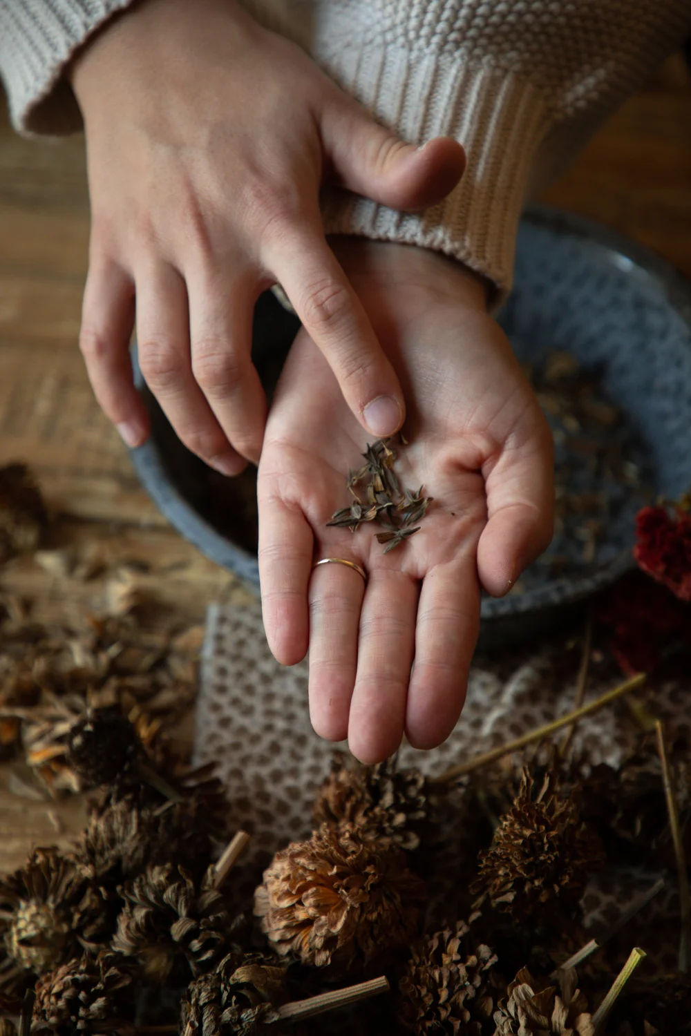 How to Make Your Own Bird Seed Mix: Easy, Nutritious & Budget-Friendly