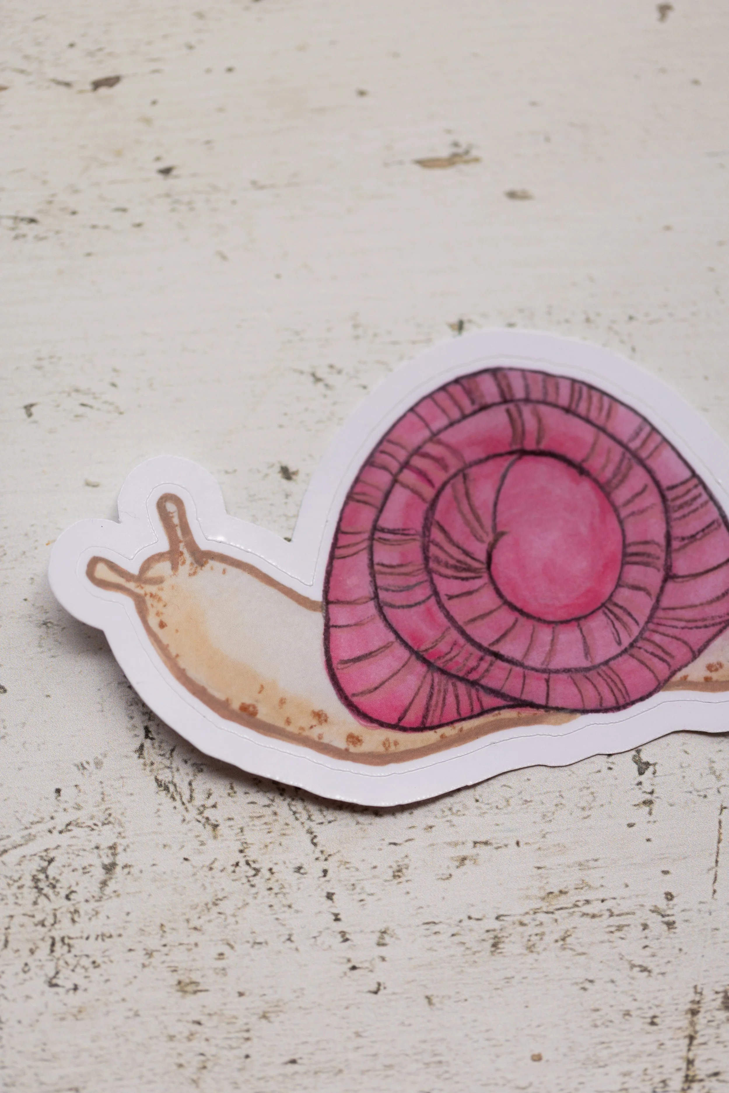 Dear Little Spring: Snail Sticker | Die Cut Sticker