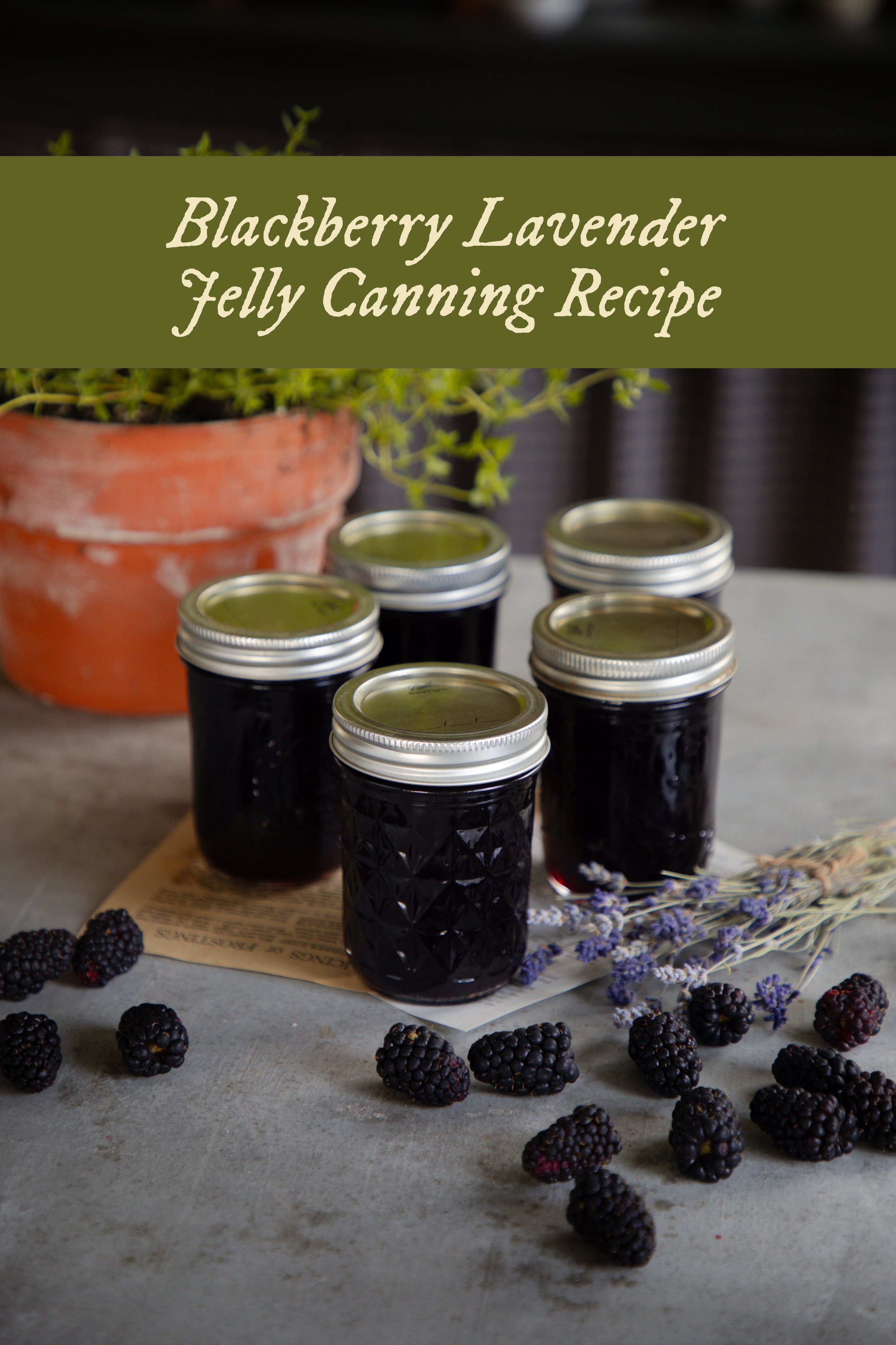 Blackberry Lavender Jelly Under A