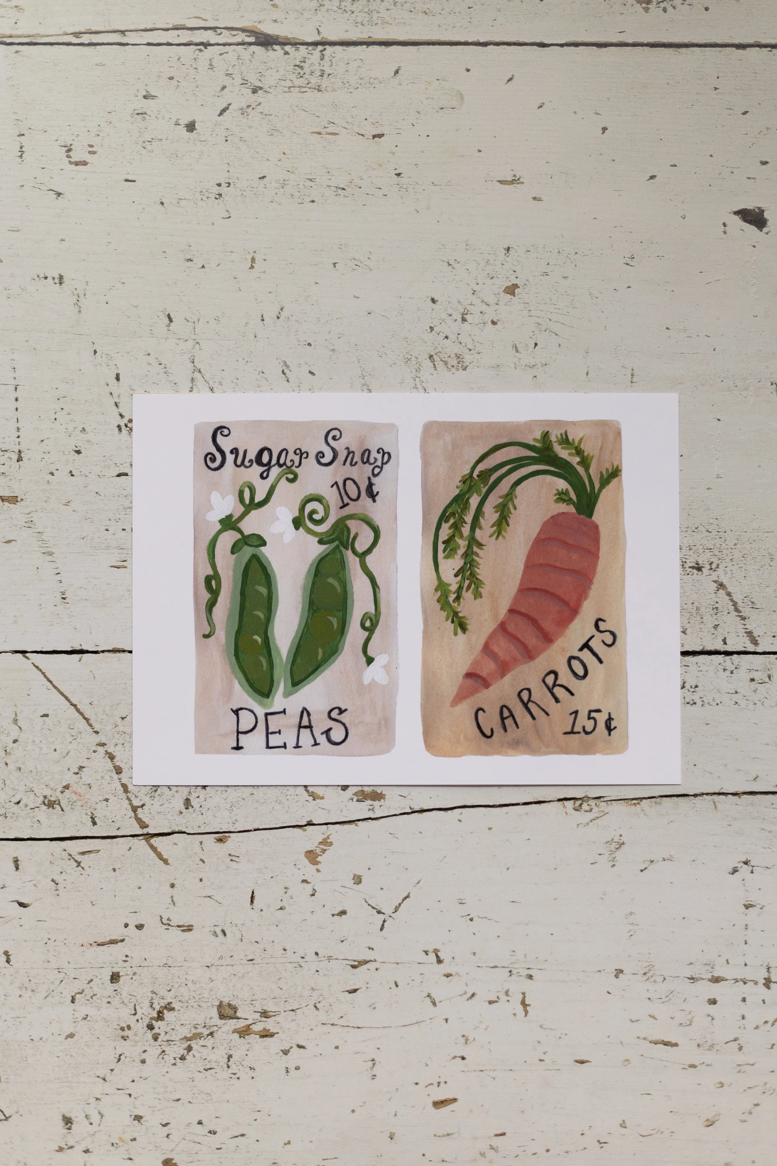 seedpacketsprint-4.jpg