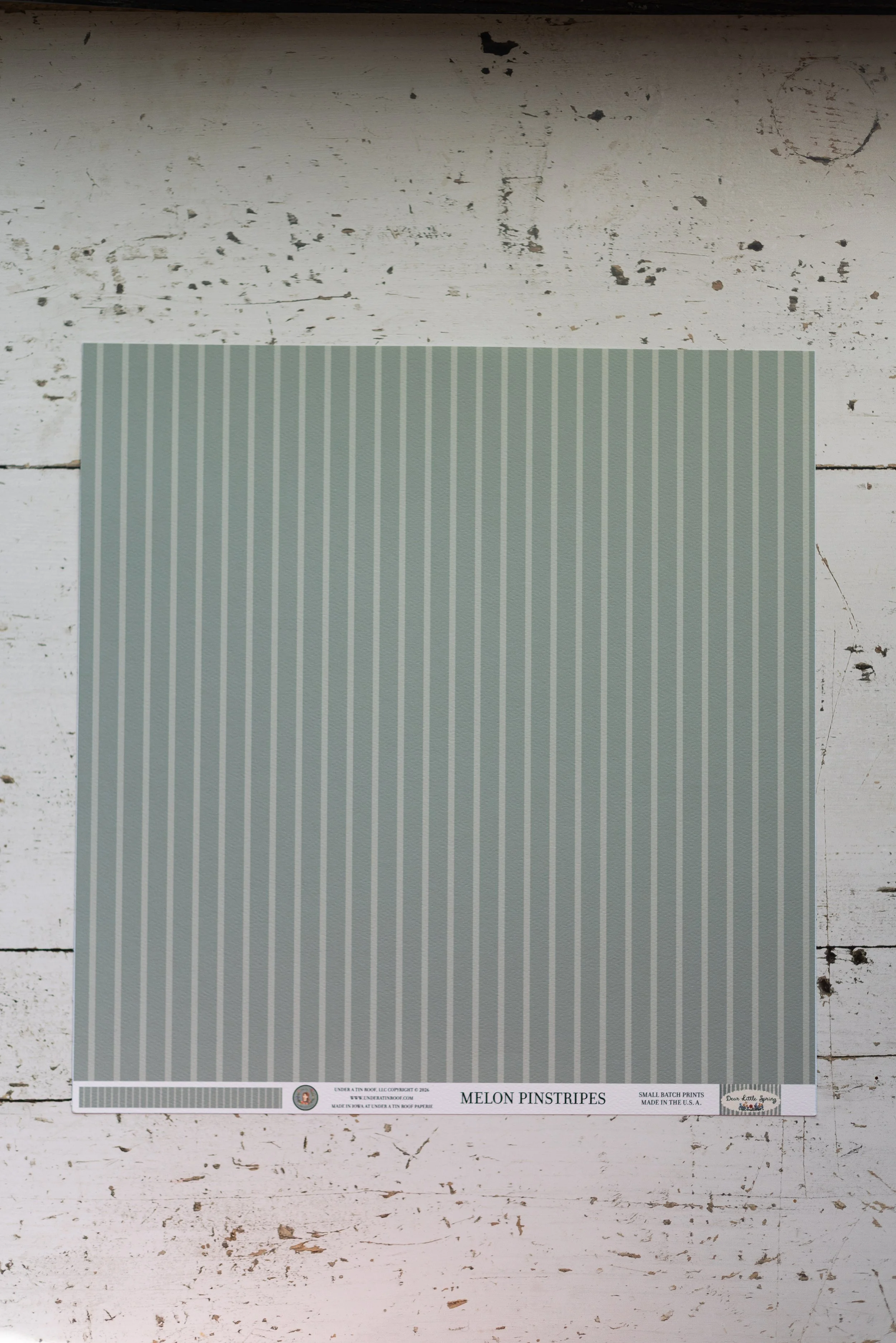 melonstripes-3.jpg