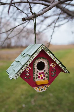 Picture of 3 Bird-Friendly Garden Ideas: Bird Nesting Material Station, Natural ...