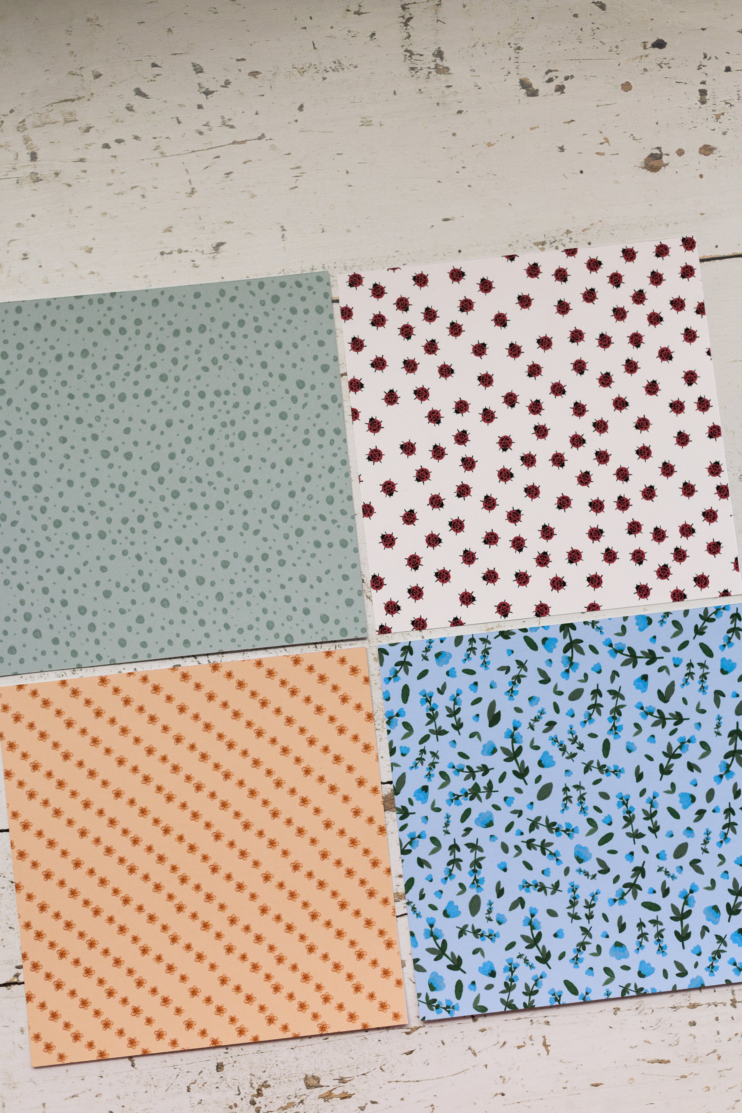6x6paperpack-6.jpg