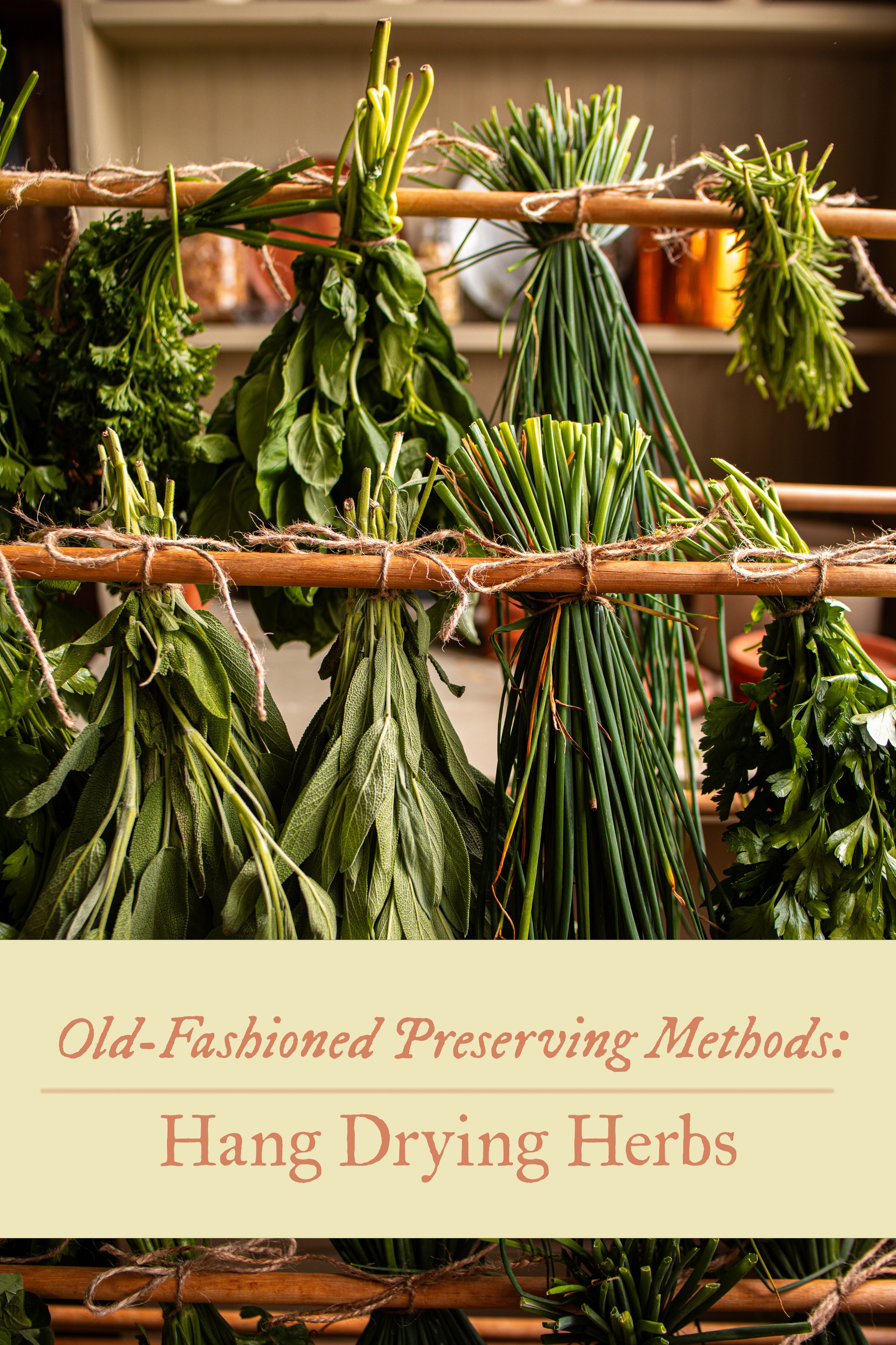 Preserving Freshness How to Hang Dry Herbs StepbyStep Guide