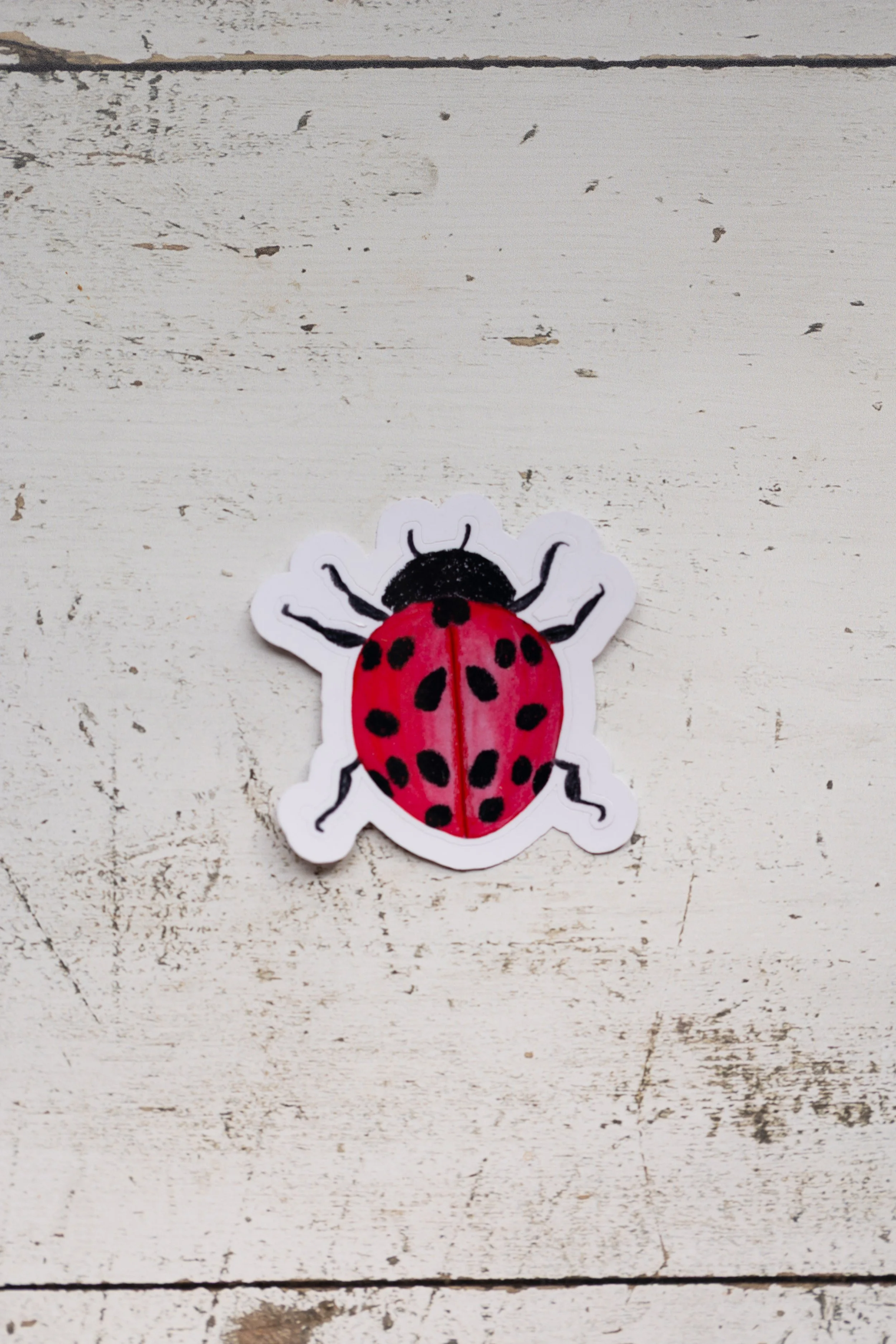 ladybugsticker-2.jpg
