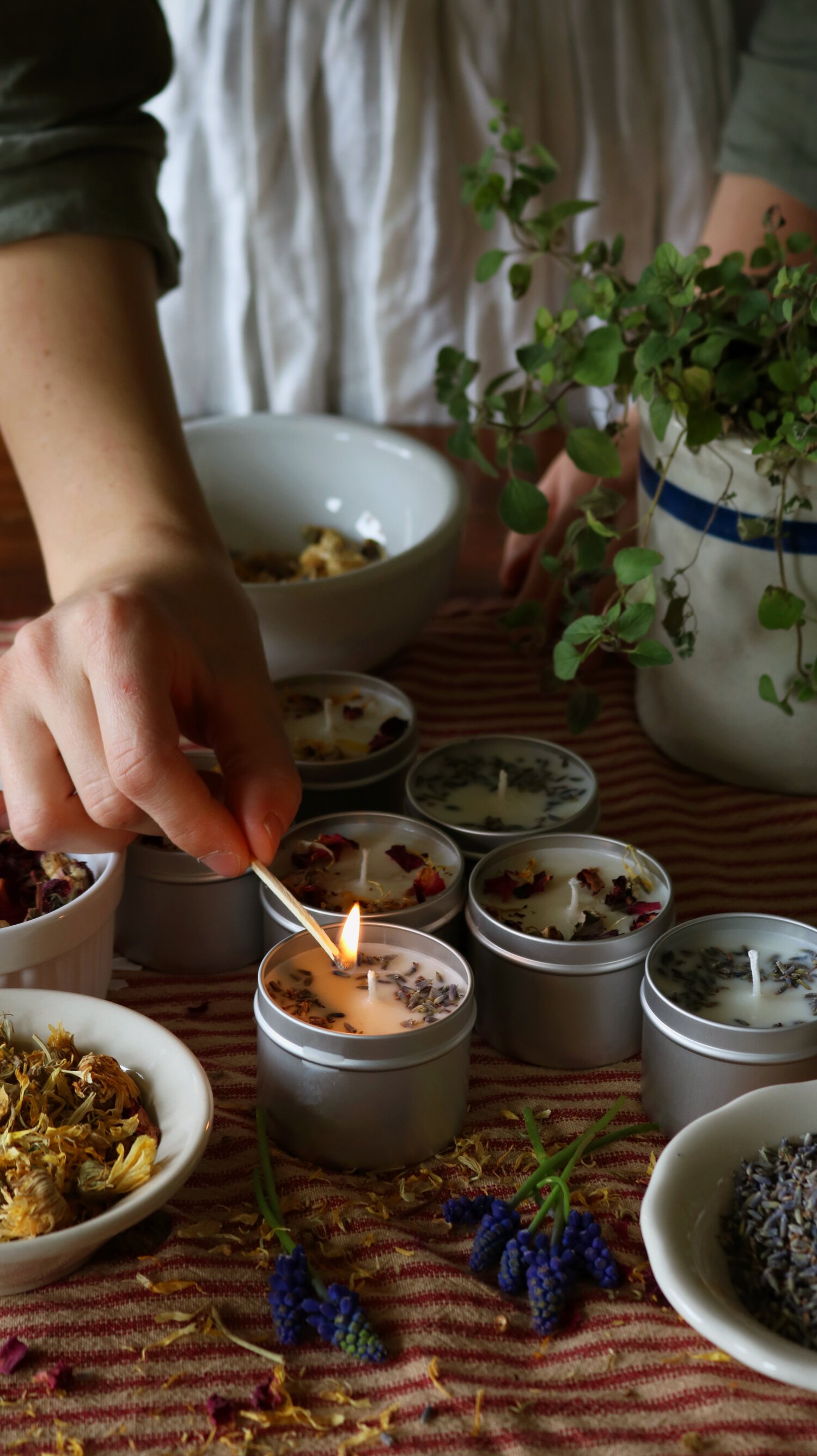 Wax & Oils Scented Soy Candles