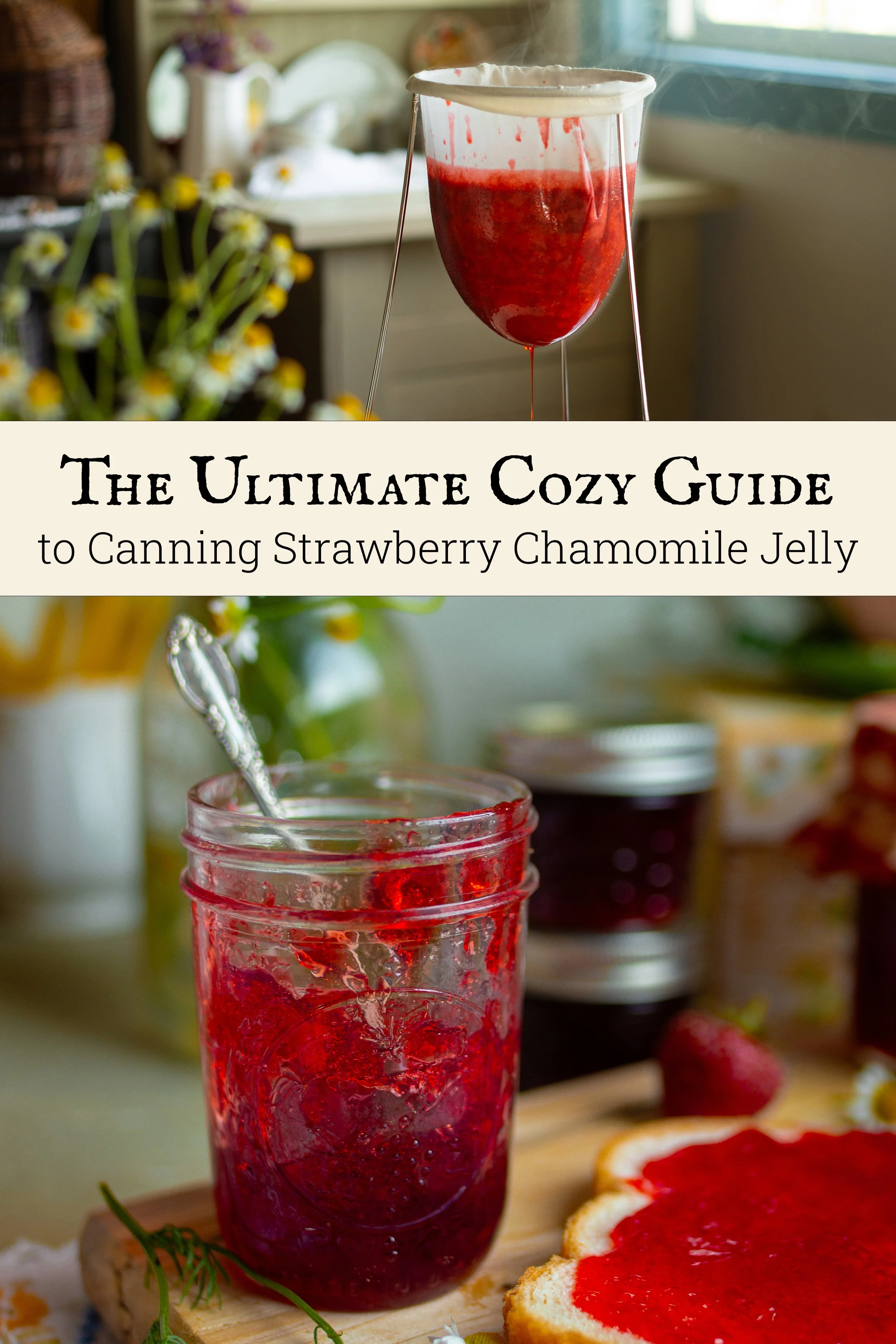 Strawberry Chamomile Jelly Recipe and StepbyStep Canning Guide