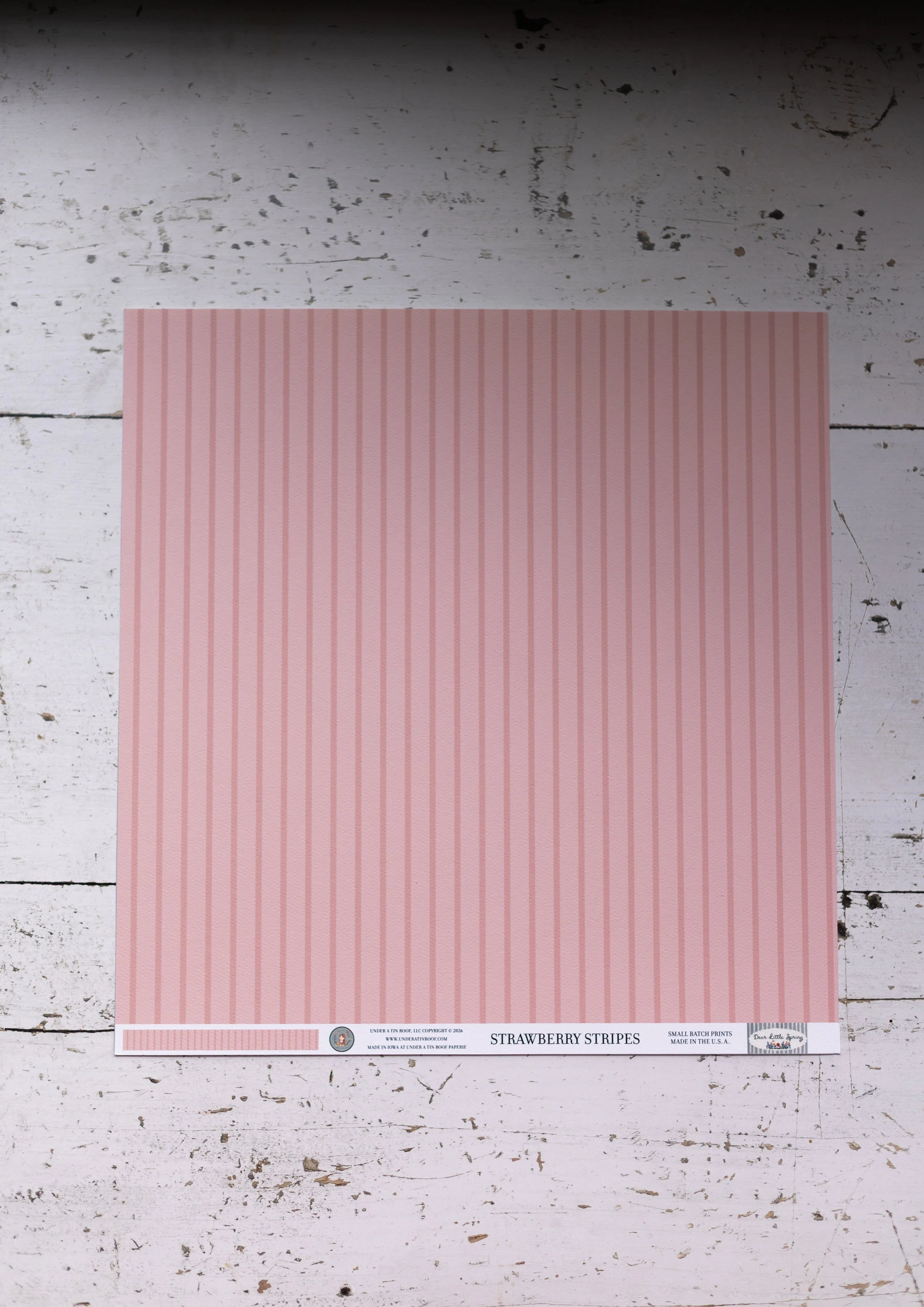 strawberrystripes-3.jpg
