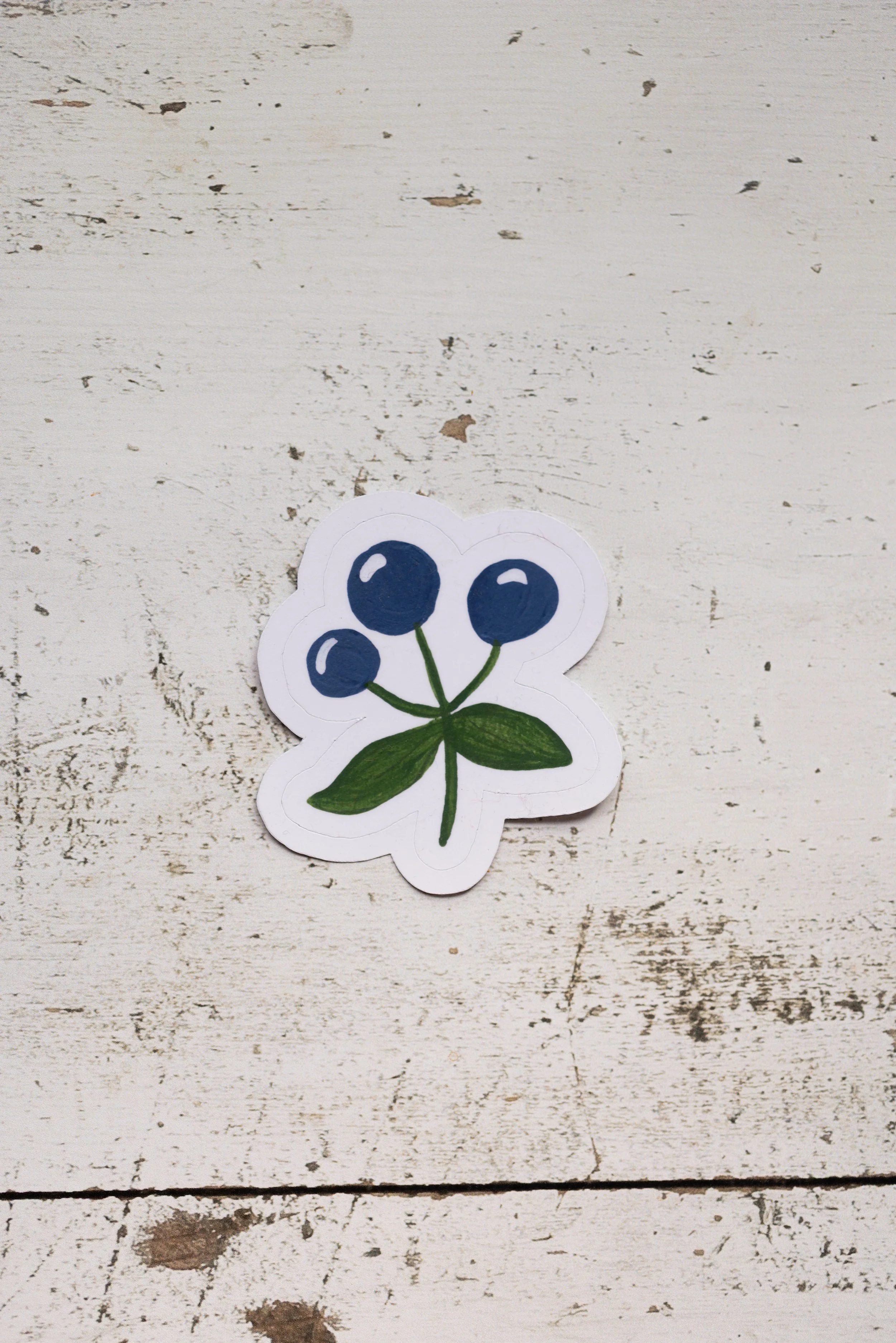 blueberrysticker-2.jpg