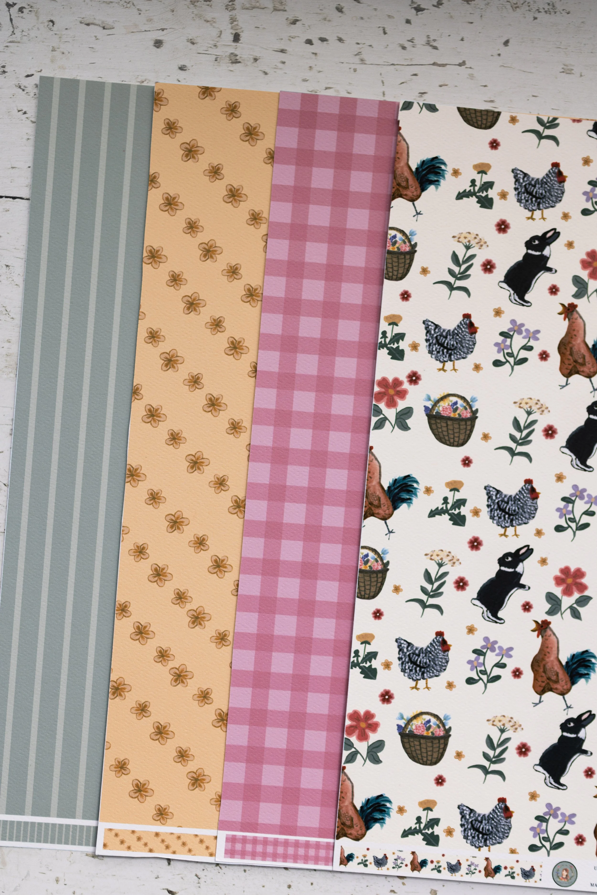 chickencollectionset-2.jpg