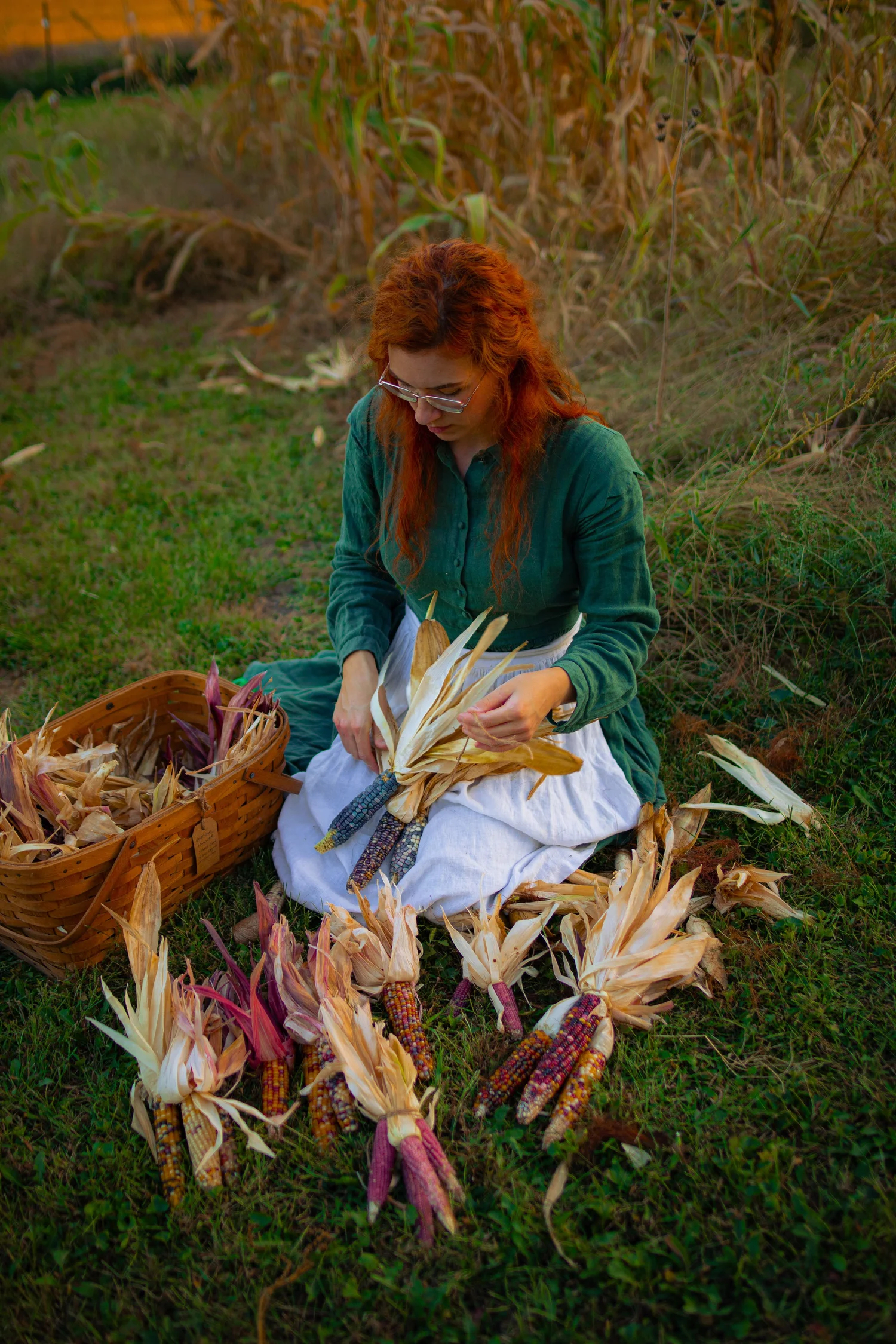 How to Grow, Harvest, and Dry Ornamental Corn for Your Kitchen: Learn ...