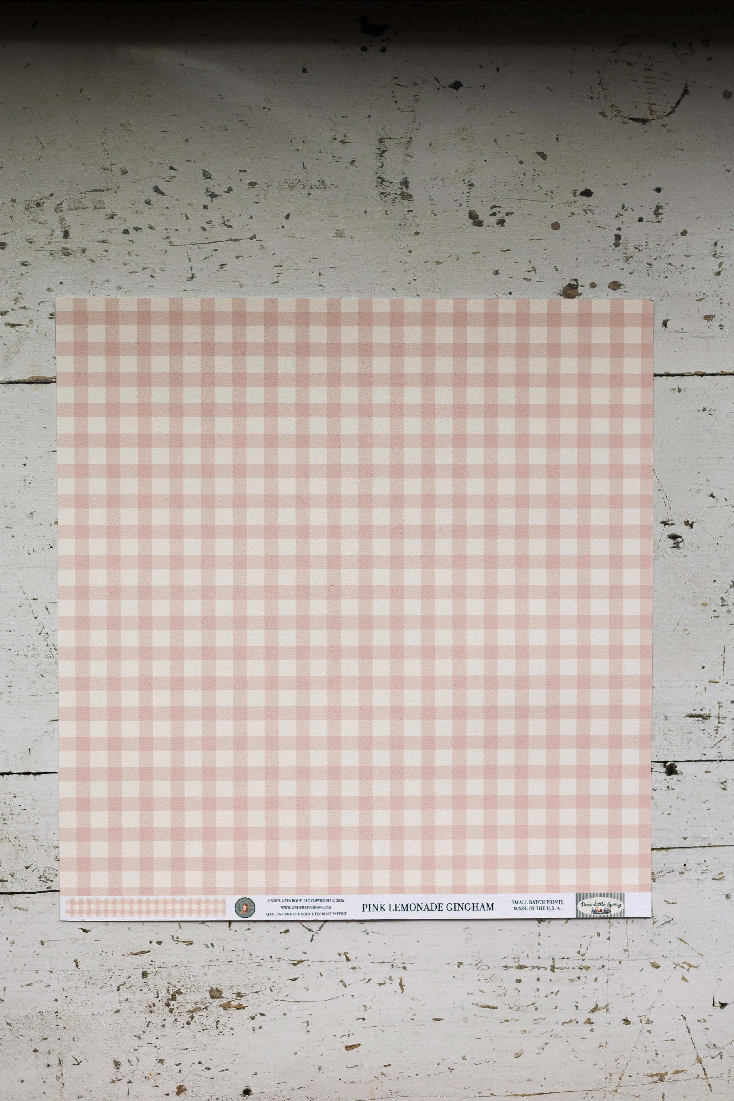 pinklemonadegingham-3.jpg